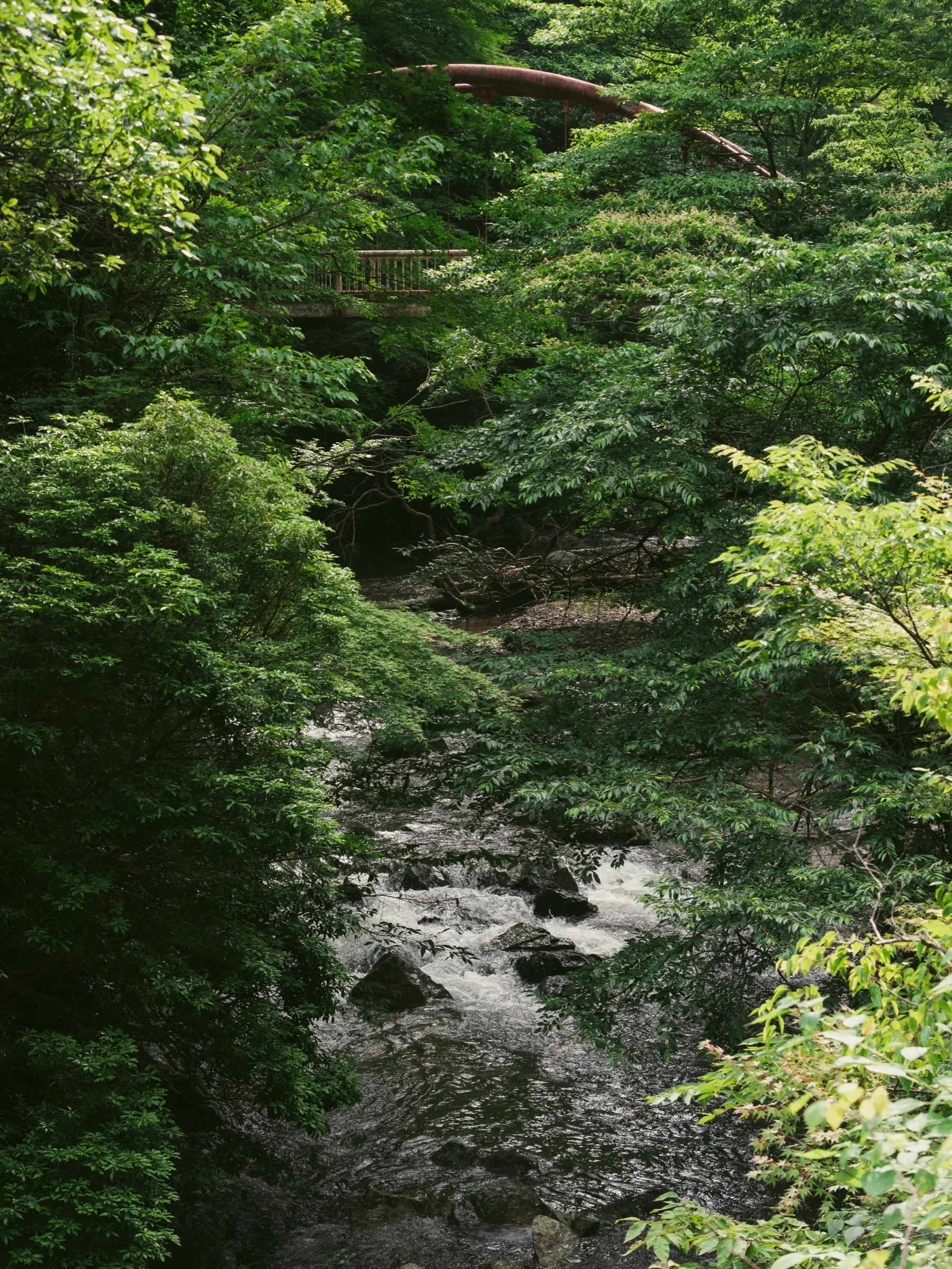 Mossy arched bridge over the Minoo stream along the Takimichi trail