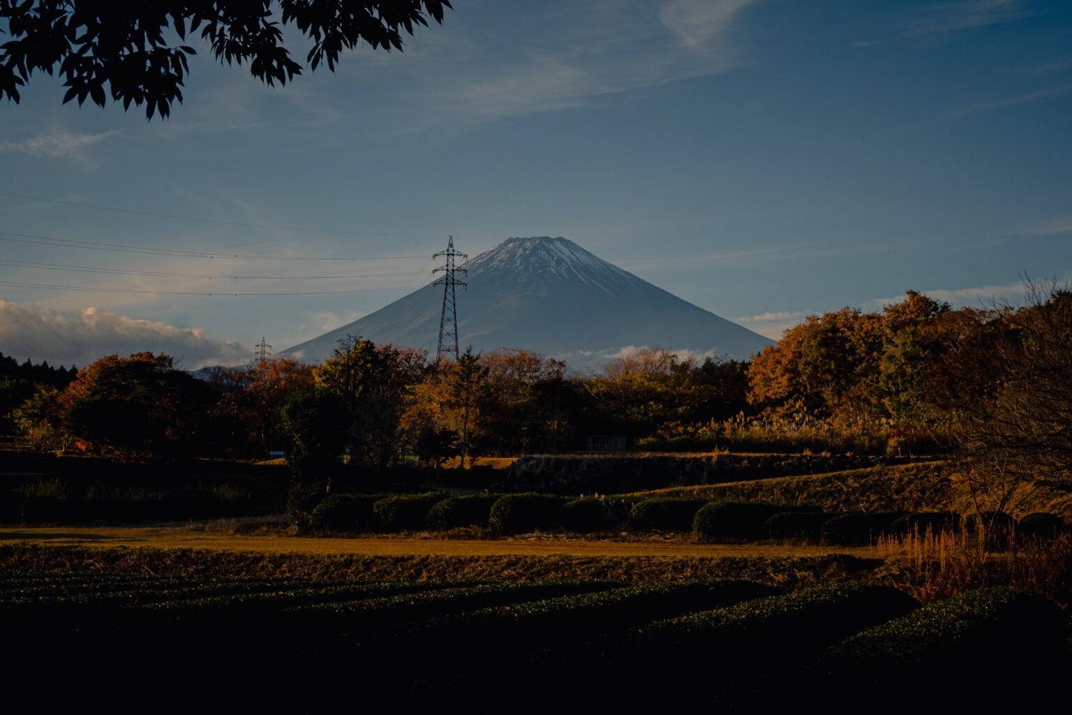 Mt. Fuji rising above autumn farmland with golden rice fields in the foreground, photographed in clear October weather