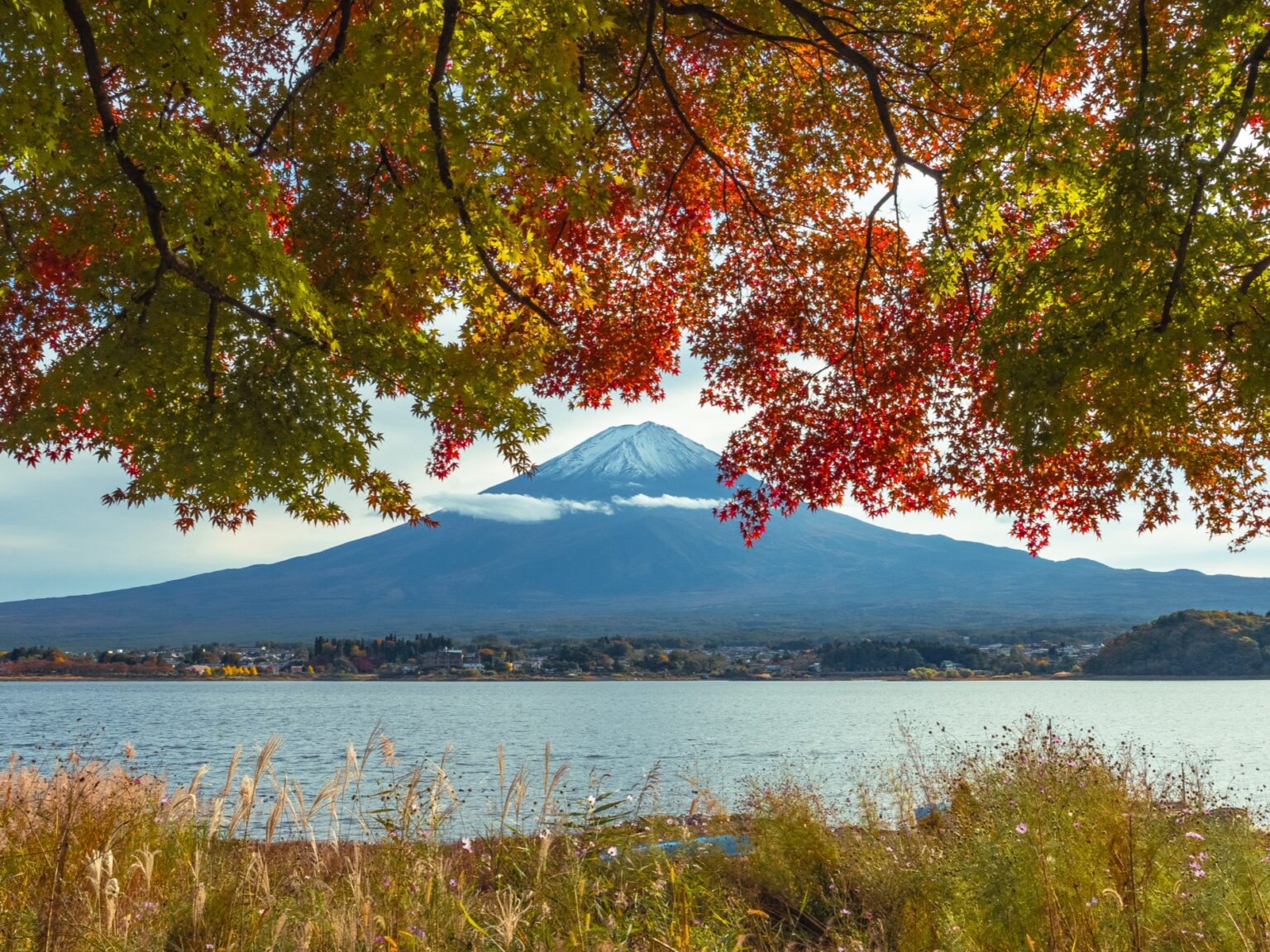 Mt Fuji autumn foliage Lake Kawaguchiko