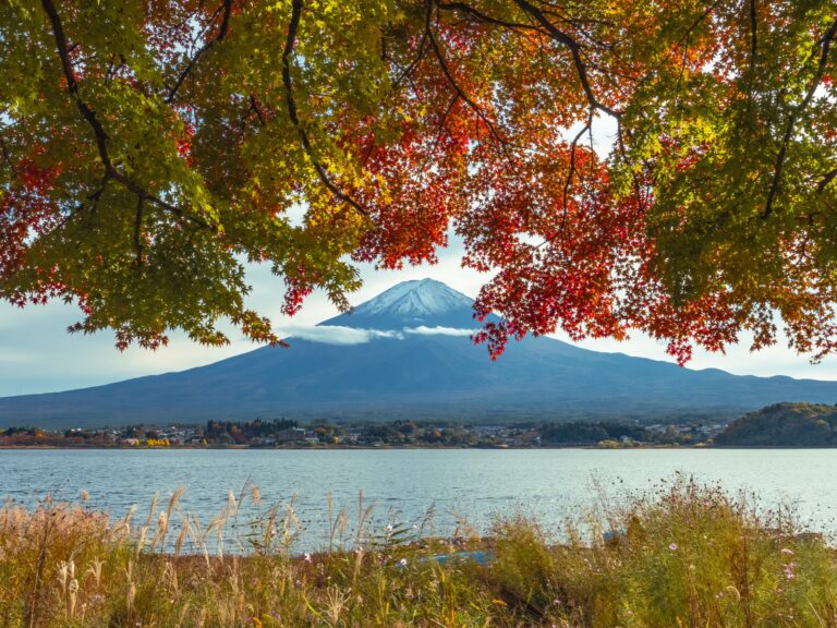 Mt Fuji with autumn foliage and Lake Kawaguchiko