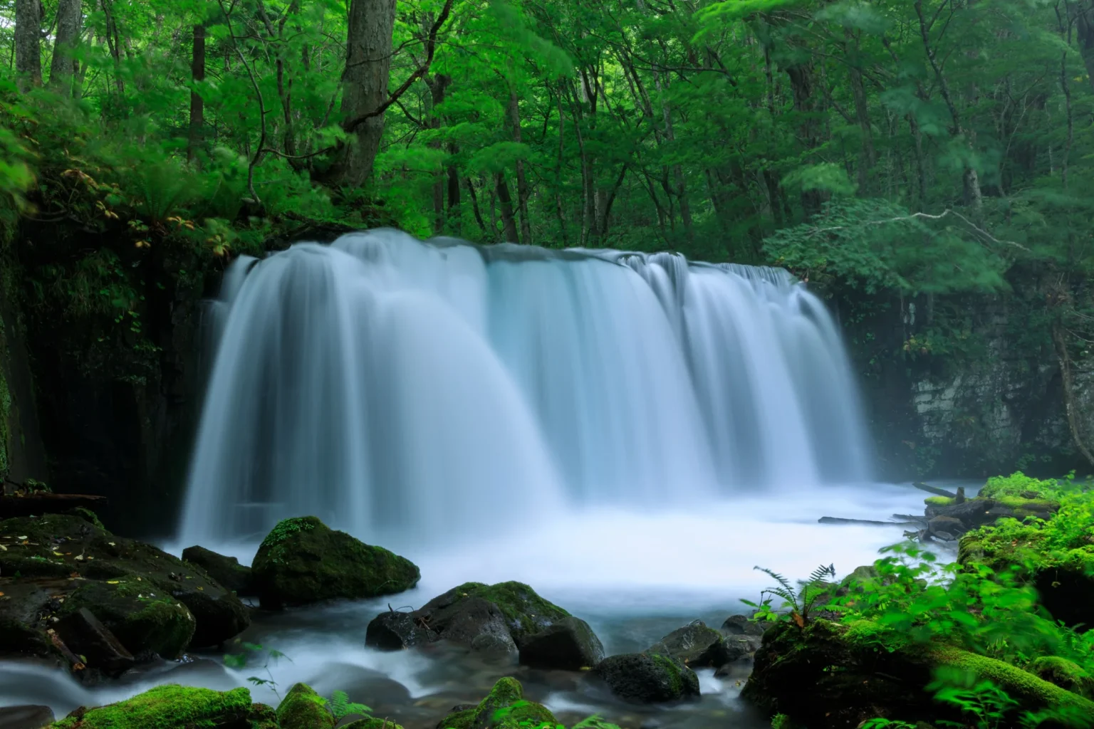 Choshi Otaki in summer, white water falling across the stream between mossy rocks and green forest