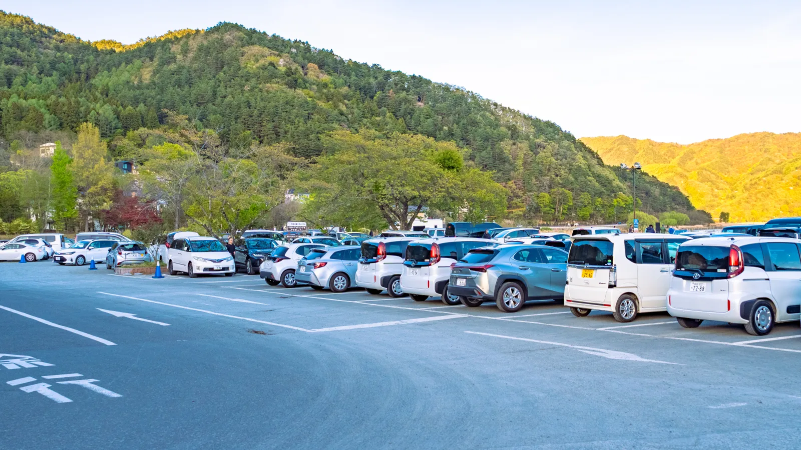 Free parking lot at Oishi Park Kawaguchiko