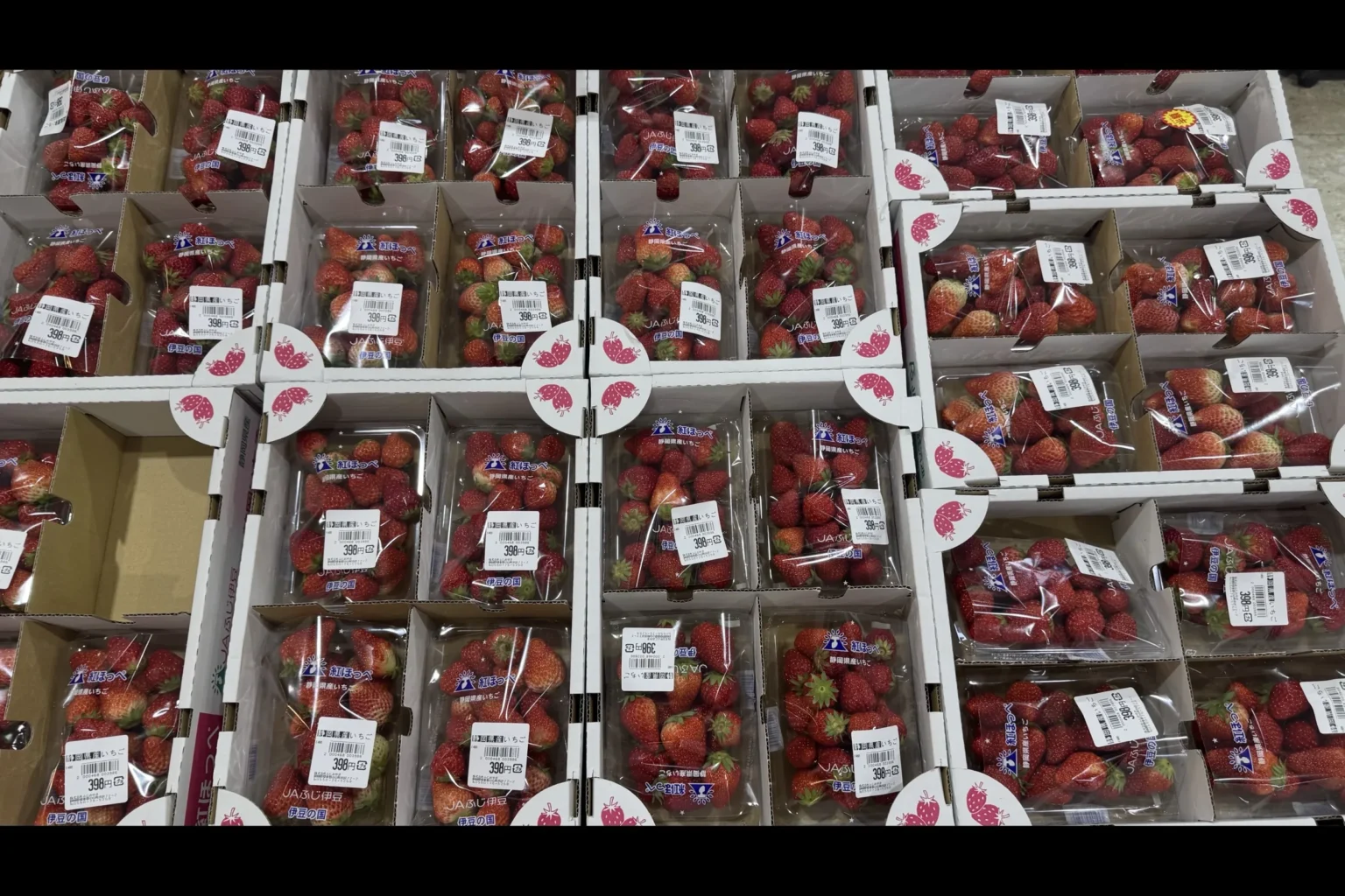 Boxes of fresh Shizuoka strawberries priced at 380 yen at the Michi-no-Eki Fujioyama produce market