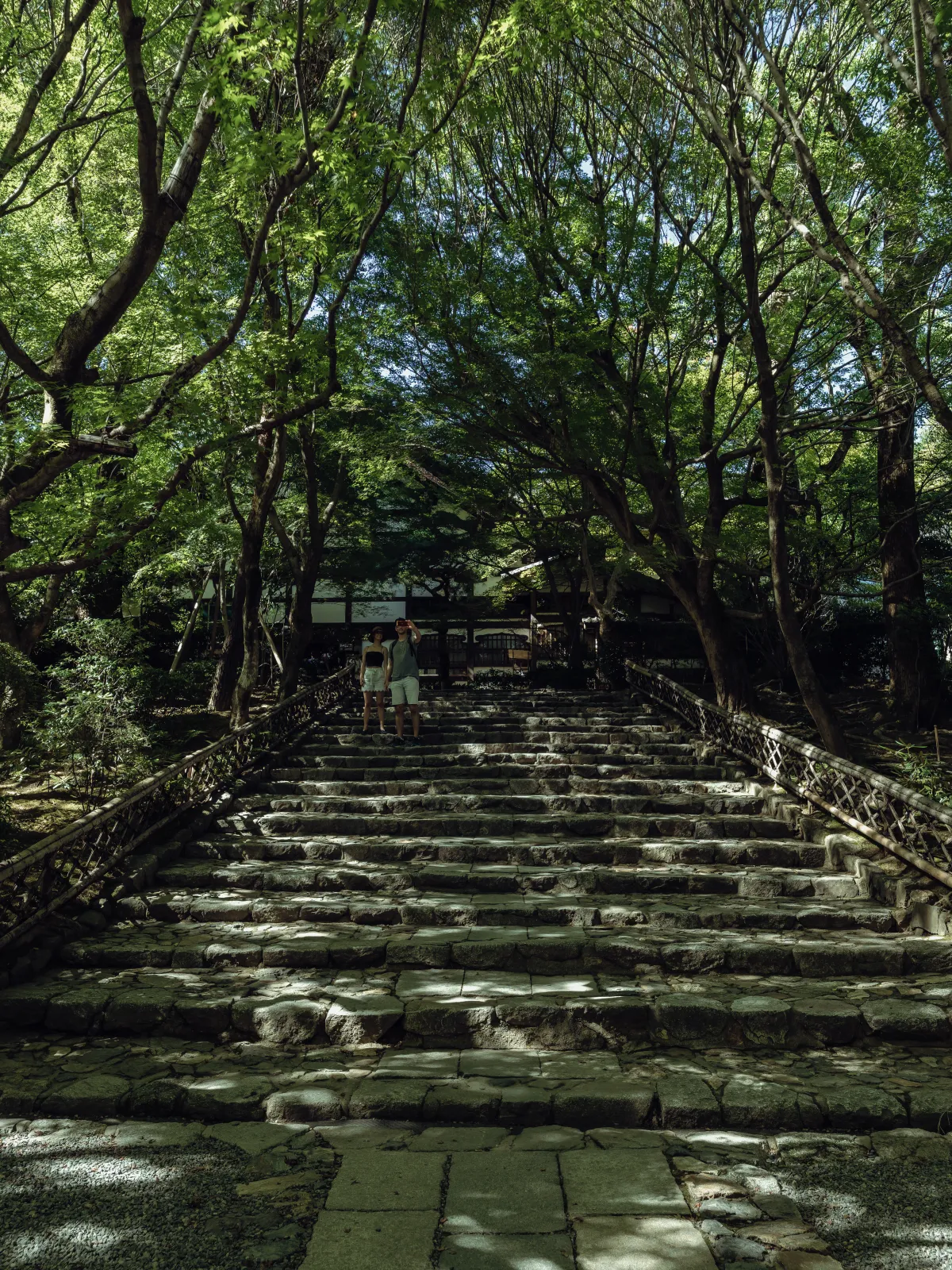 Stone stairs approach to Ryoanji through tree canopy