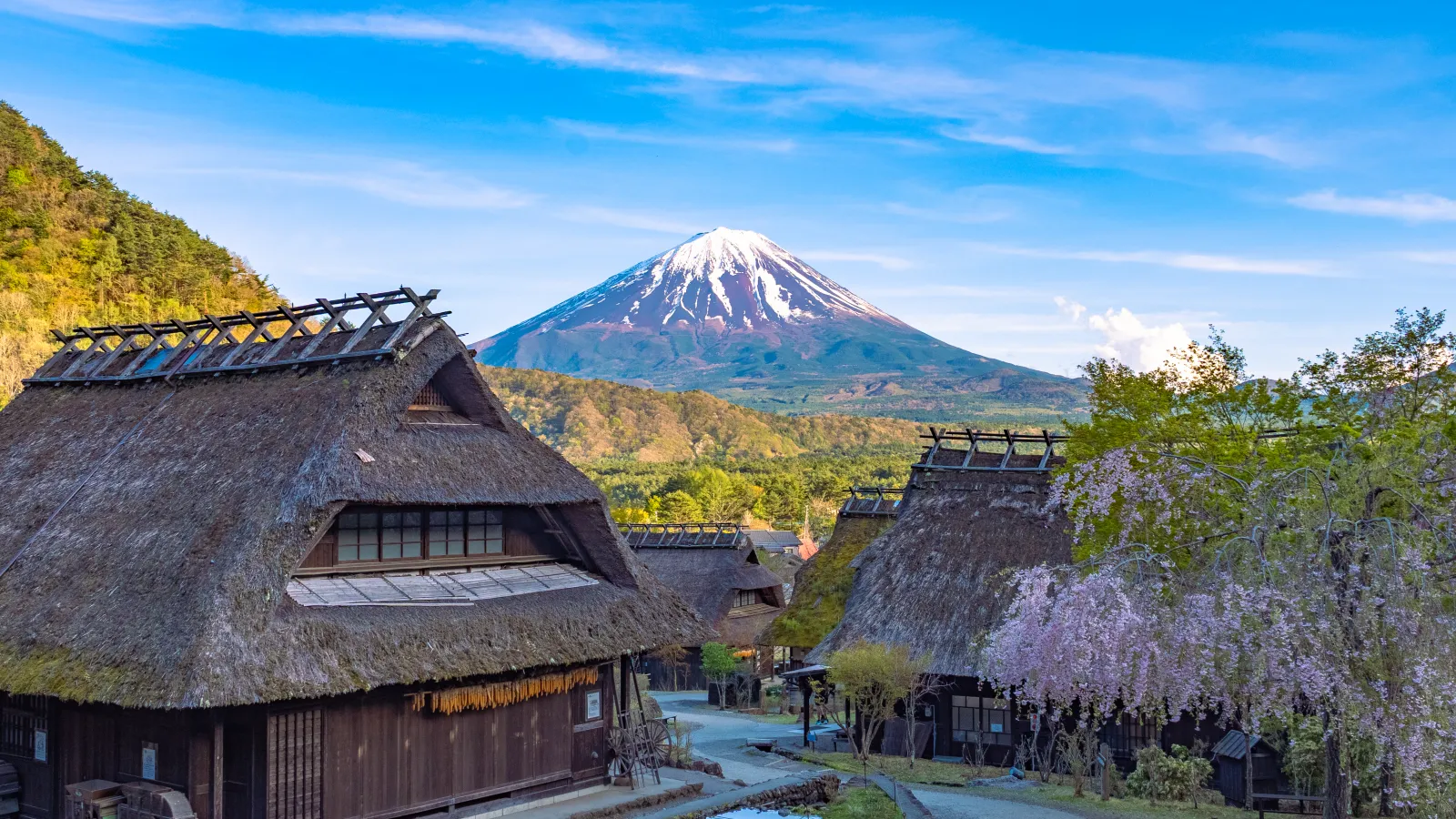 Mt Fuji framed between two thatched roof houses at Saiko Iyashi no Sato Nenba