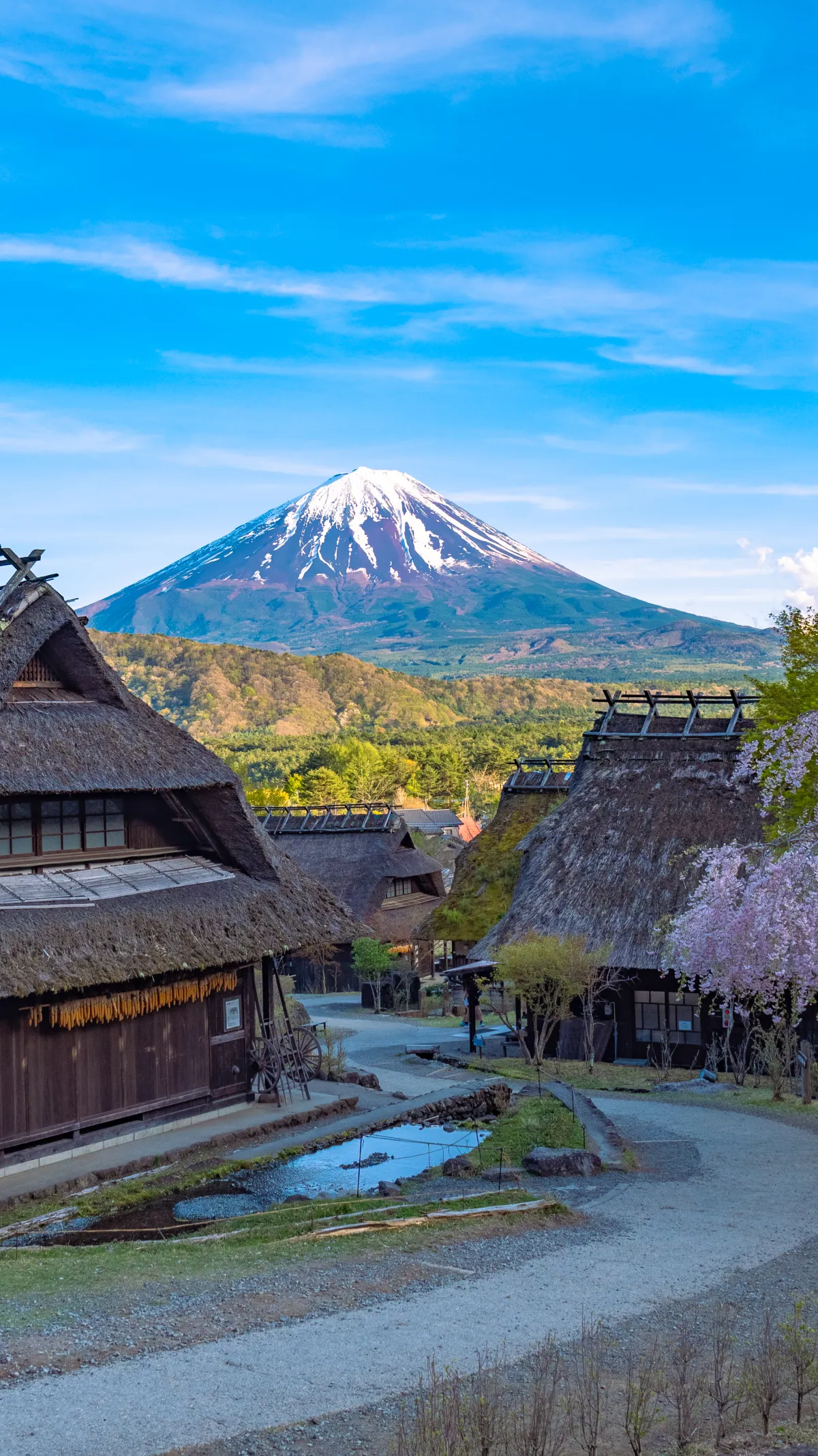 Vertical view of Mt Fuji above the thatched village of Saiko Iyashi no Sato Nenba