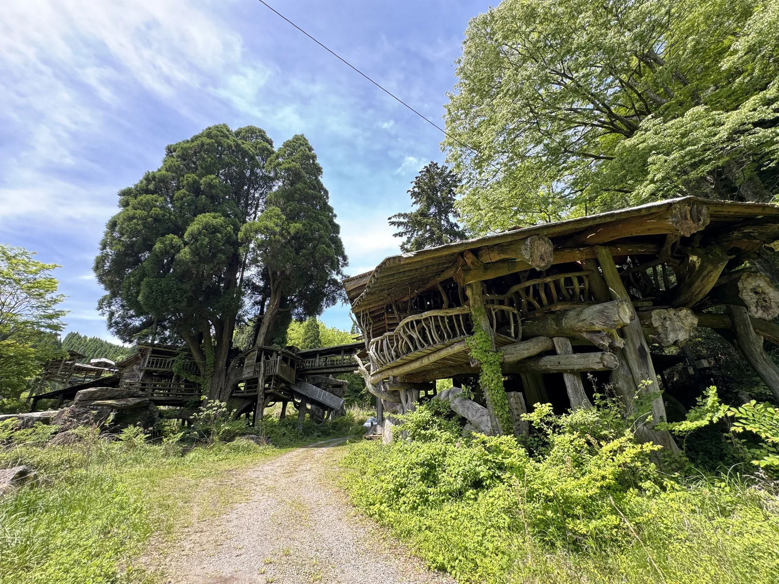 Takamori Tree House — takamori-tree-h1
