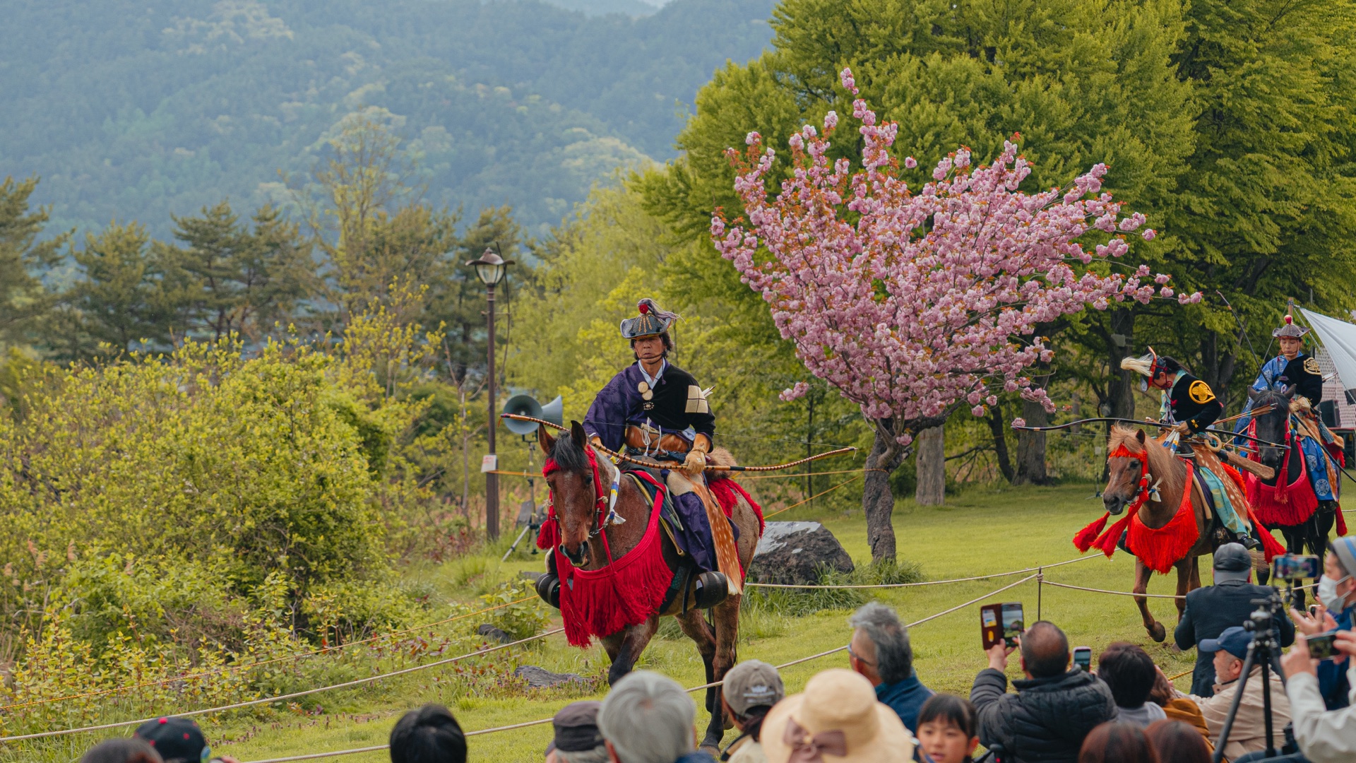 Two yabusame archers in procession beside cherry tree