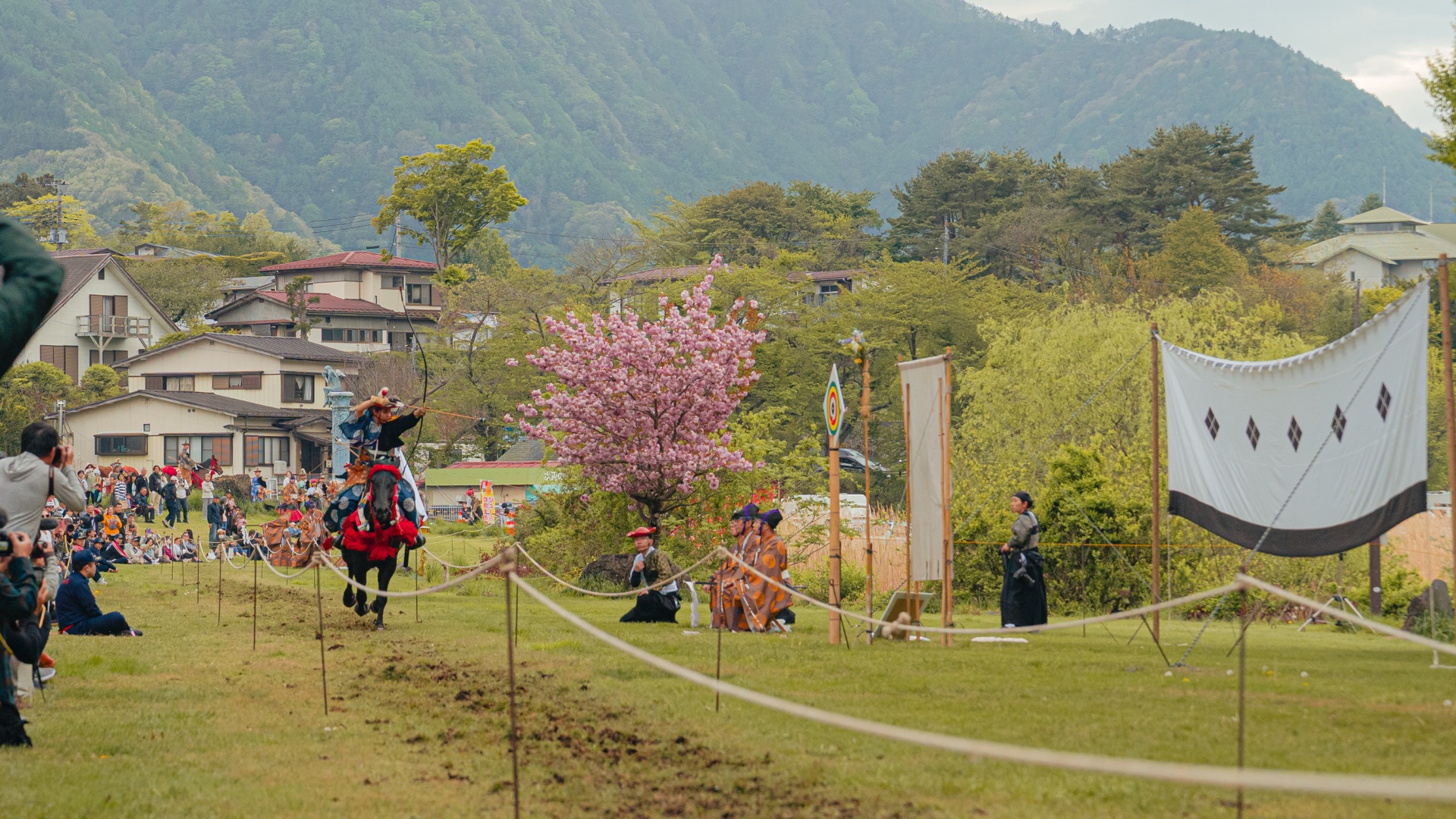 Yabusame archer galloping past the cherry tree