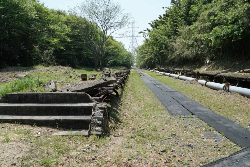 Old railway tracks at Manda Coal Mine stretching into overgrown distance