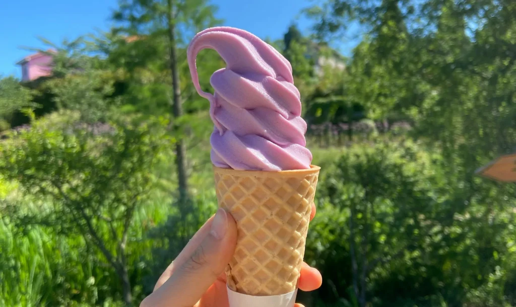 A hand holding a purple wisteria-flavored soft serve ice cream cone at a Japanese wisteria garden, a popular seasonal treat during fuji season