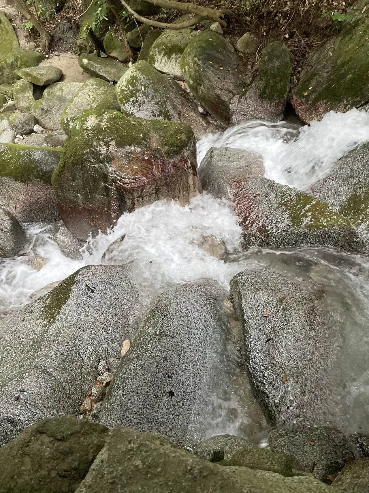 Mountain stream water cascading over moss-covered granite boulders at Dangoan in Akizuki, with cold clear water running through the forest