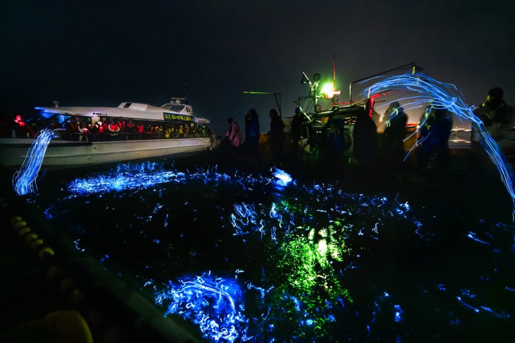 Pre-dawn scene on Toyama Bay where firefly squid glow electric blue in a fixed fishing net beside two boats of onlookers, with a green deck light reflecting on the dark water of the Sea of Japan.