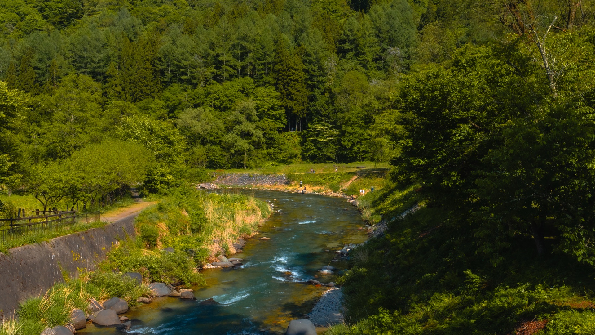 Himekawa river bend through dense forest