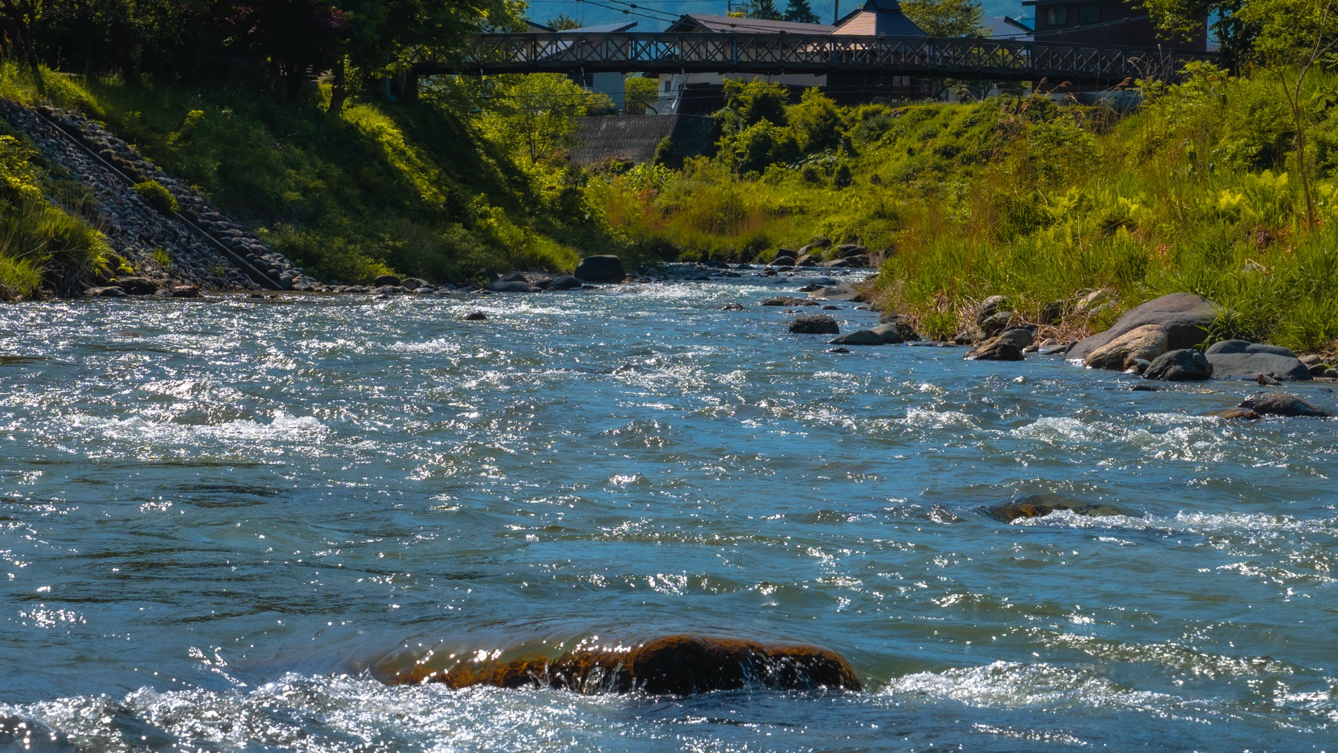View of suspension bridge from river level below
