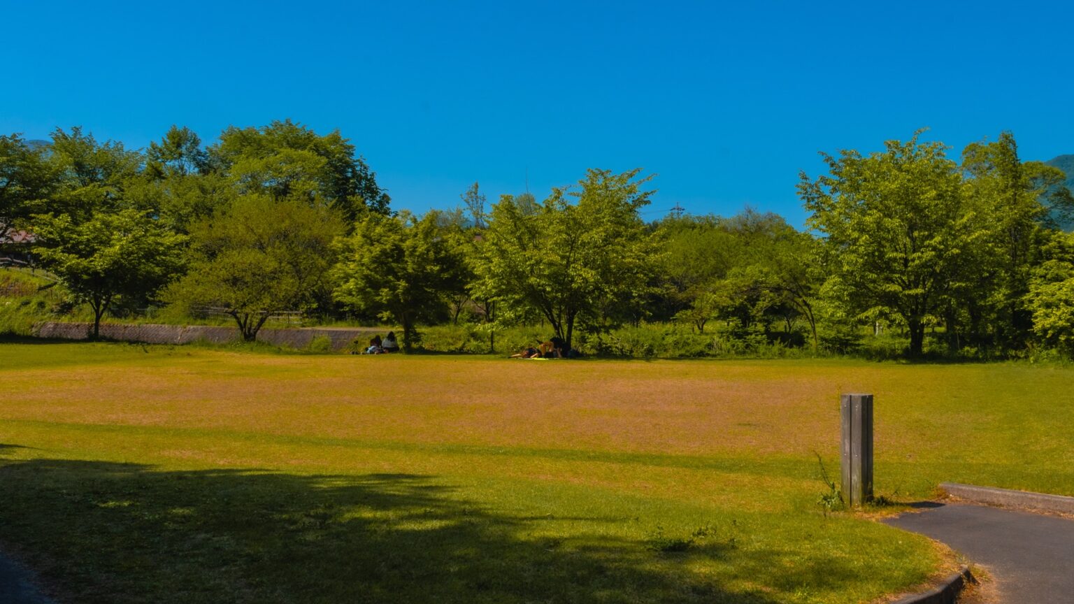 Open grass meadow at Hakuba Oide Park ringed by trees under blue sky