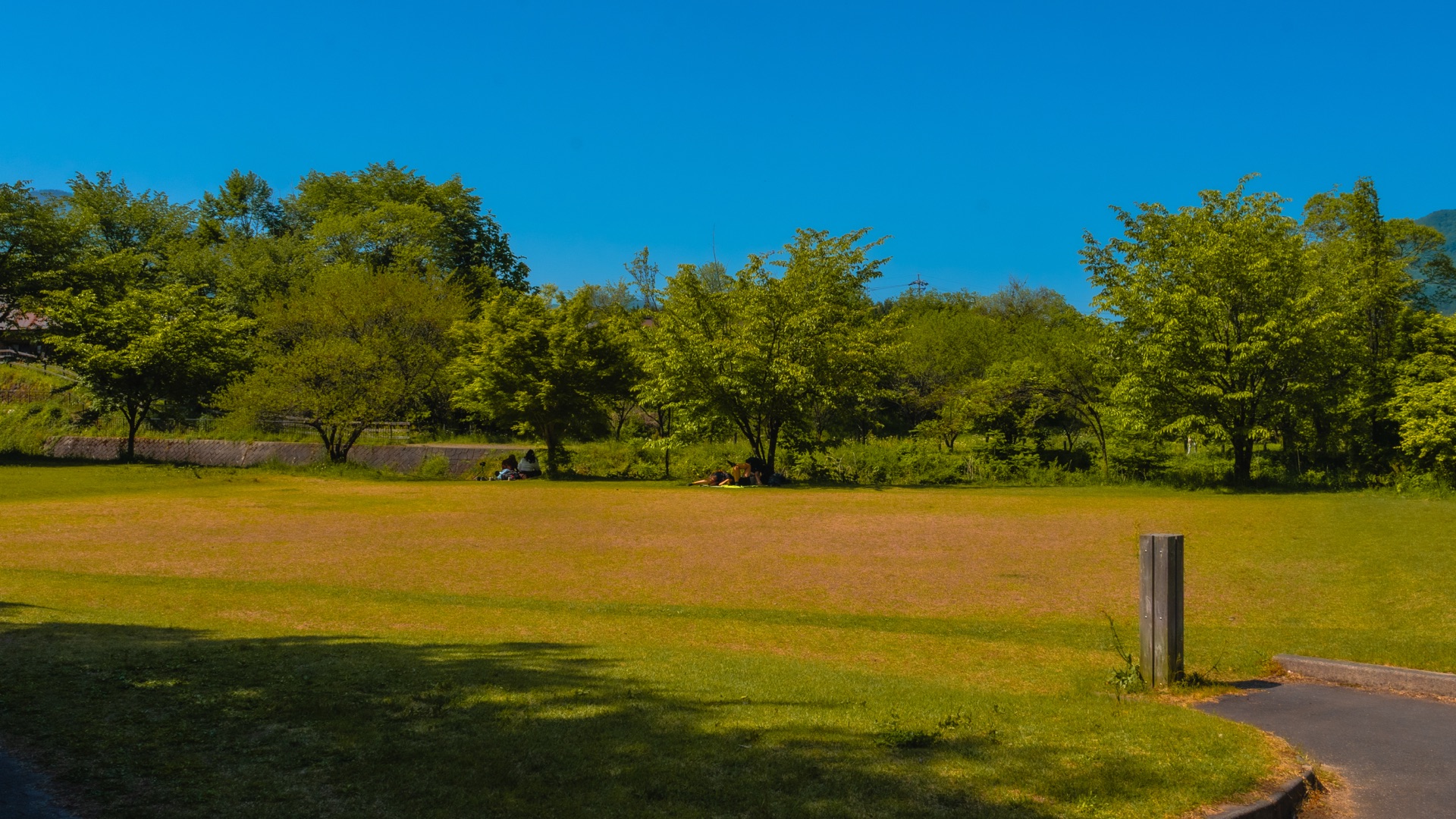 Open grass meadow at Hakuba Oide Park ringed by trees under blue sky
