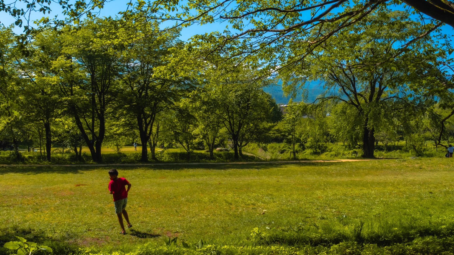 A visitor in red shirt walking across the green meadow with trees and distant mountains