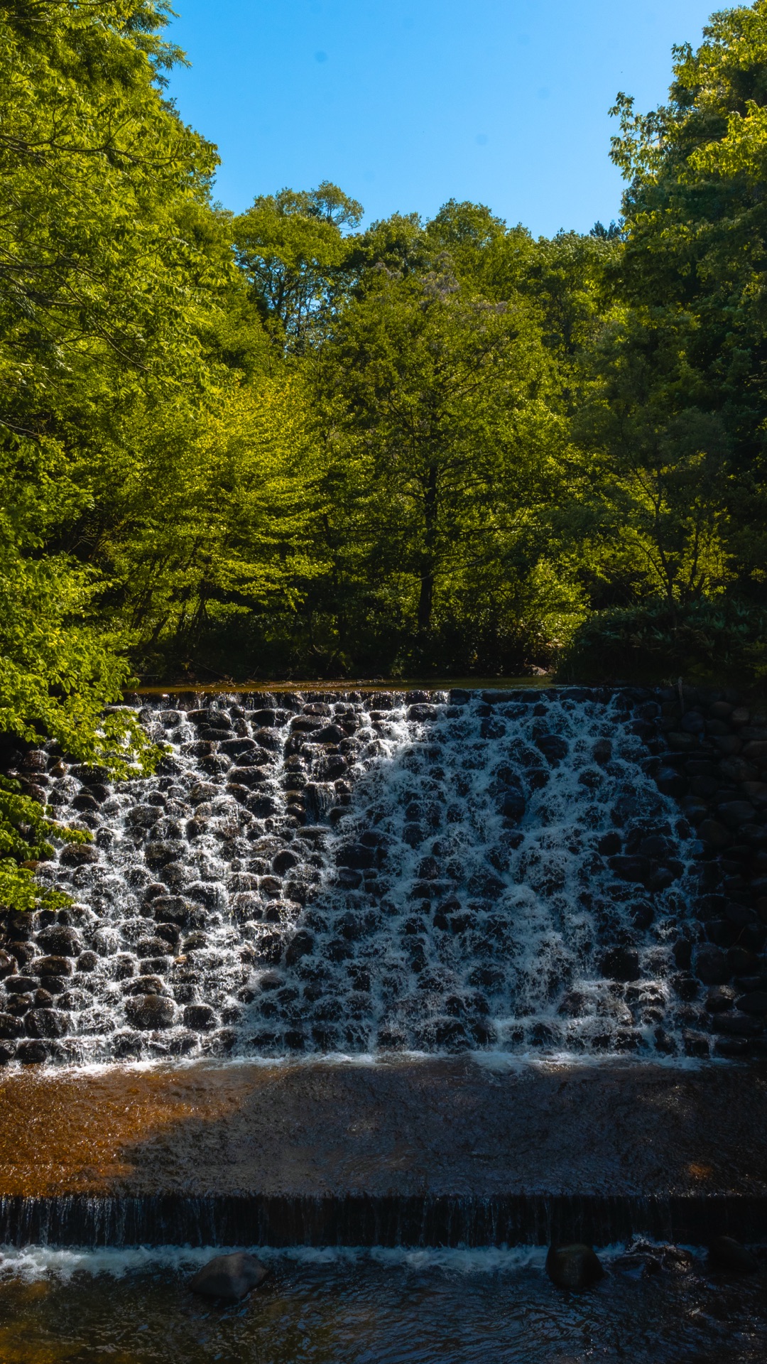 Stepped concrete sabo dam waterfall surrounded by green forest