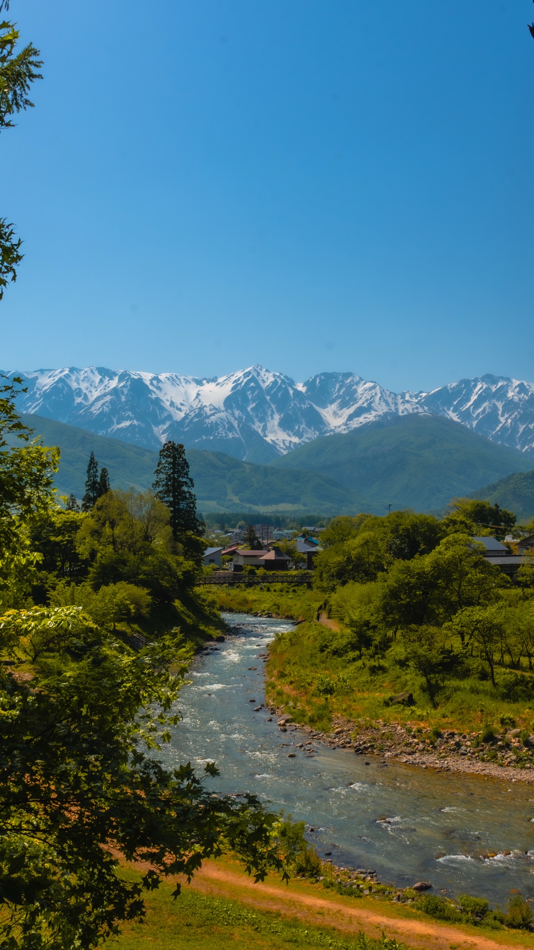 Vertical composition of Himekawa river and Hakuba peaks framed by trees