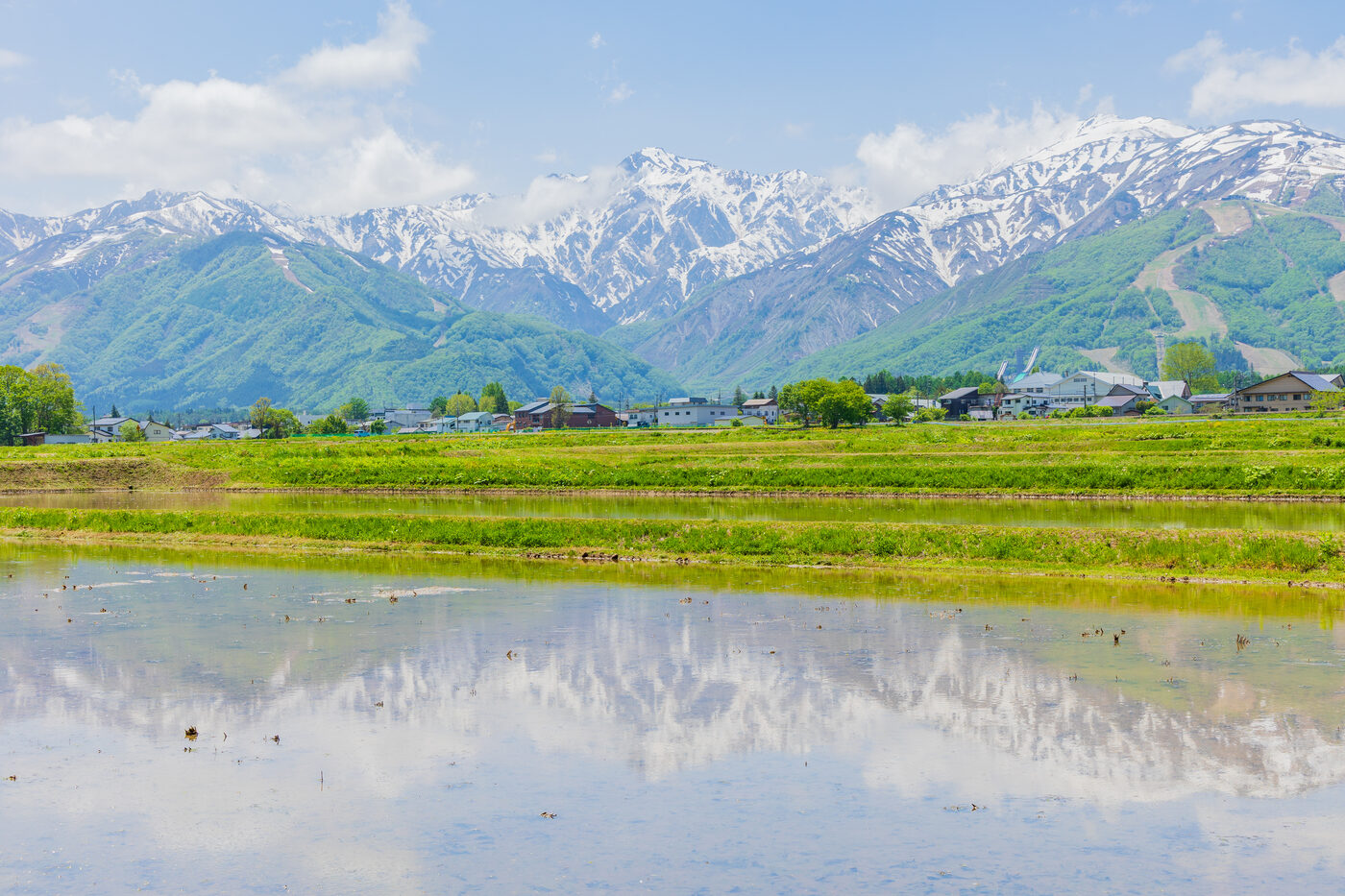 Hakuba rice paddies in early summer reflecting the Northern Alps