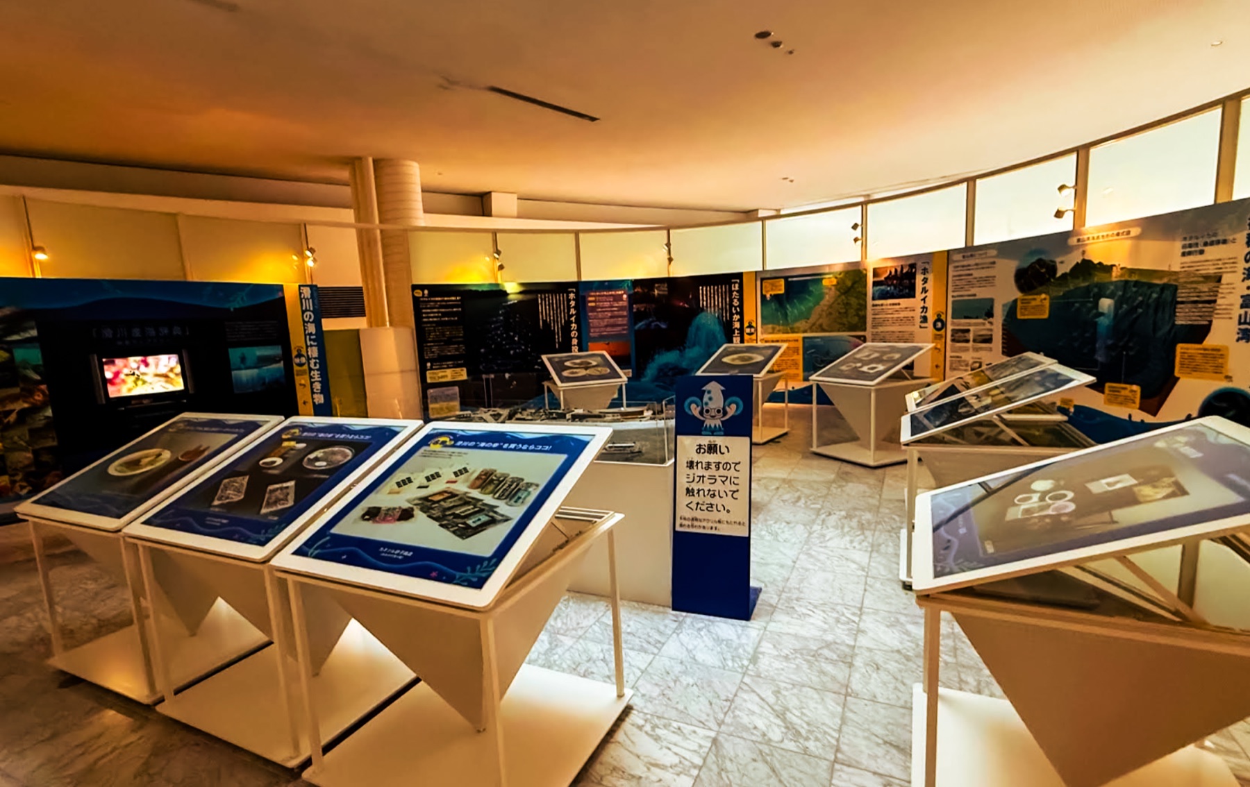 Interior of the Hotaruika Museum with interactive display tables and illustrated panels explaining the firefly squid and Toyama Bay along curving walls.