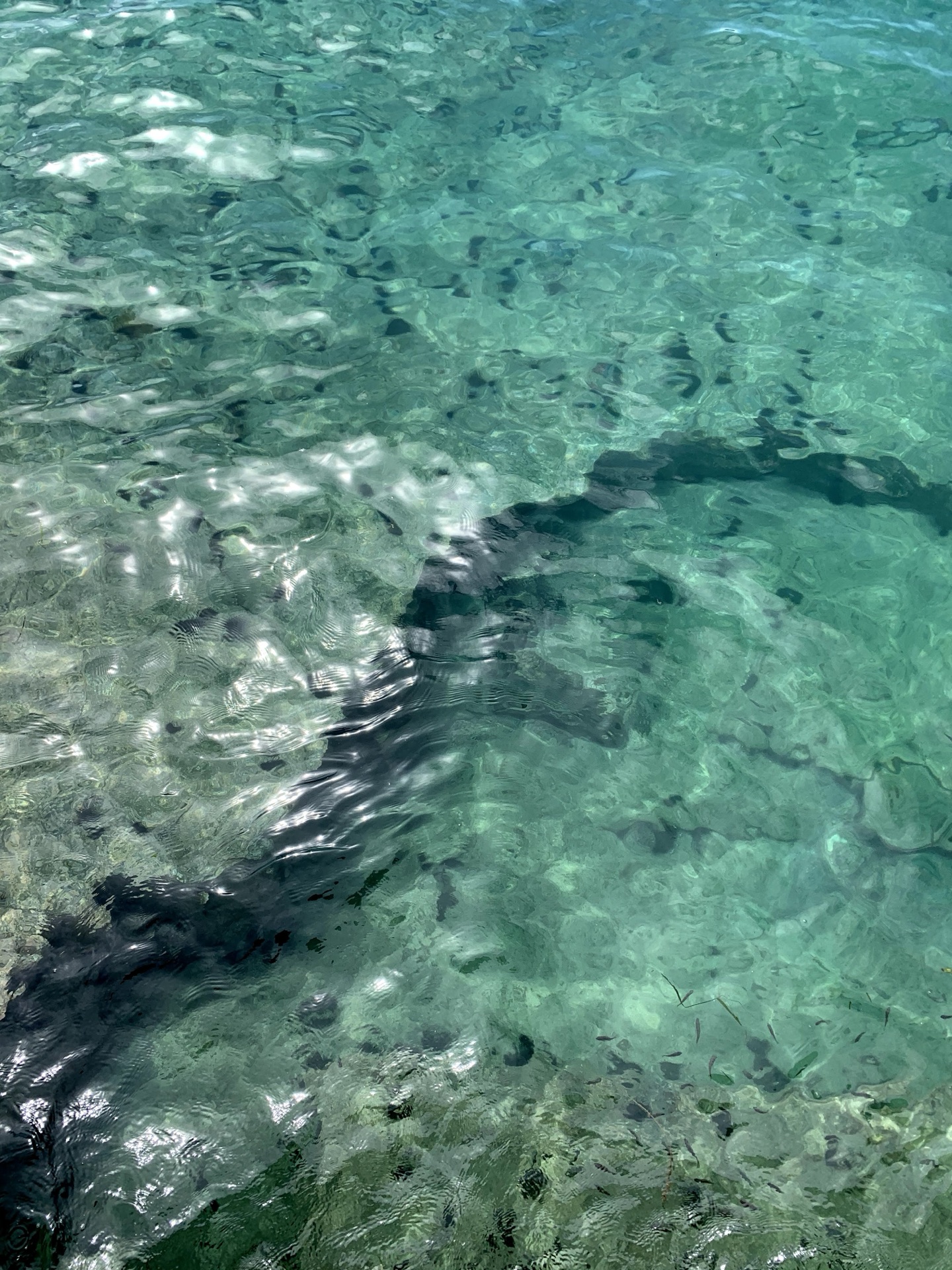 Crystal-clear water in Ine Bay showing rocks and seabed