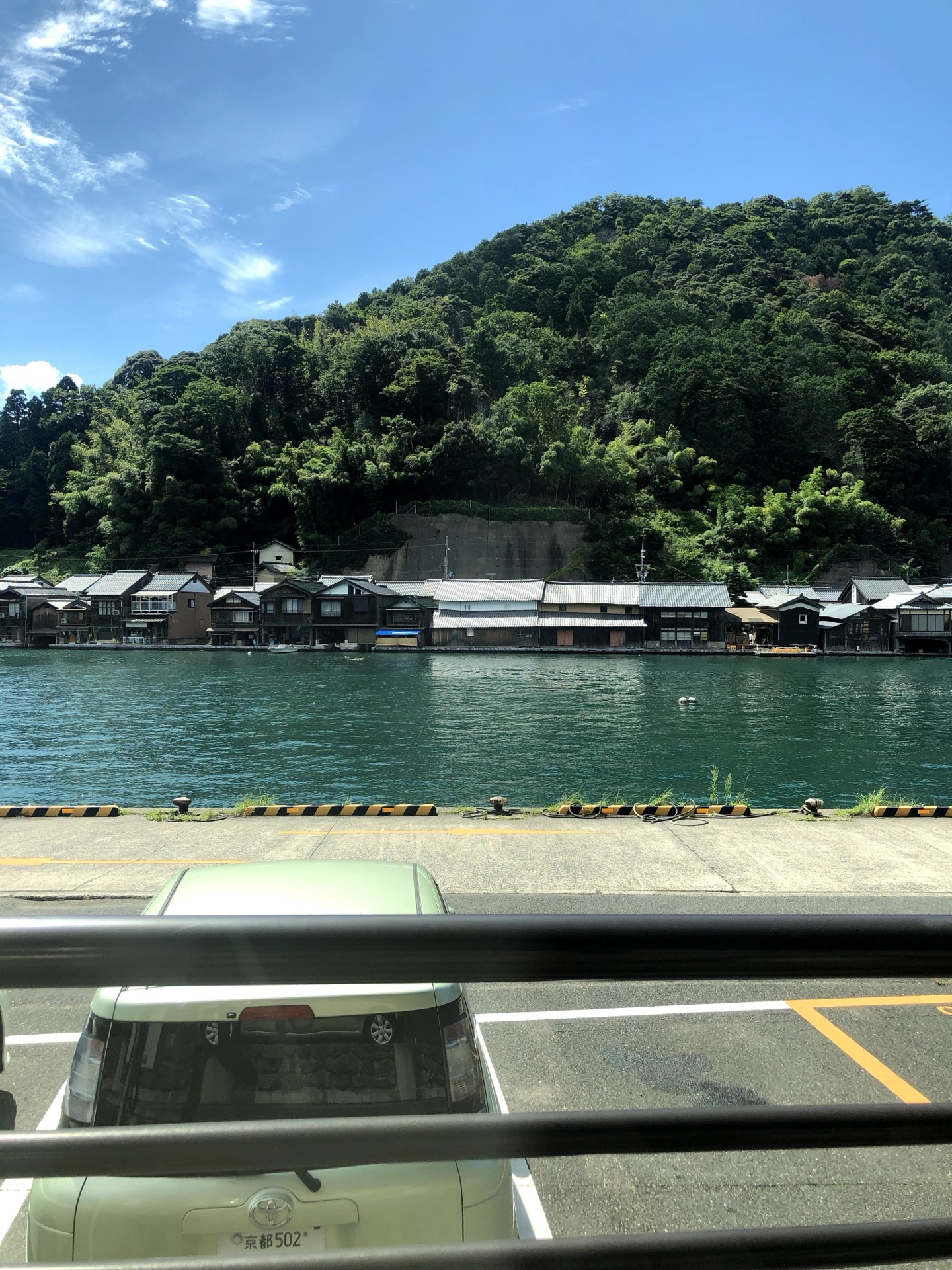 Vertical view of Ine Bay funaya line from a roadside parking area