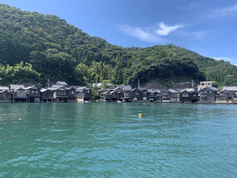 Wide view from a boat of the traditional wooden funaya boat houses lined along the shore of Ine Bay, with green forested hills behind and turquoise water in the foreground