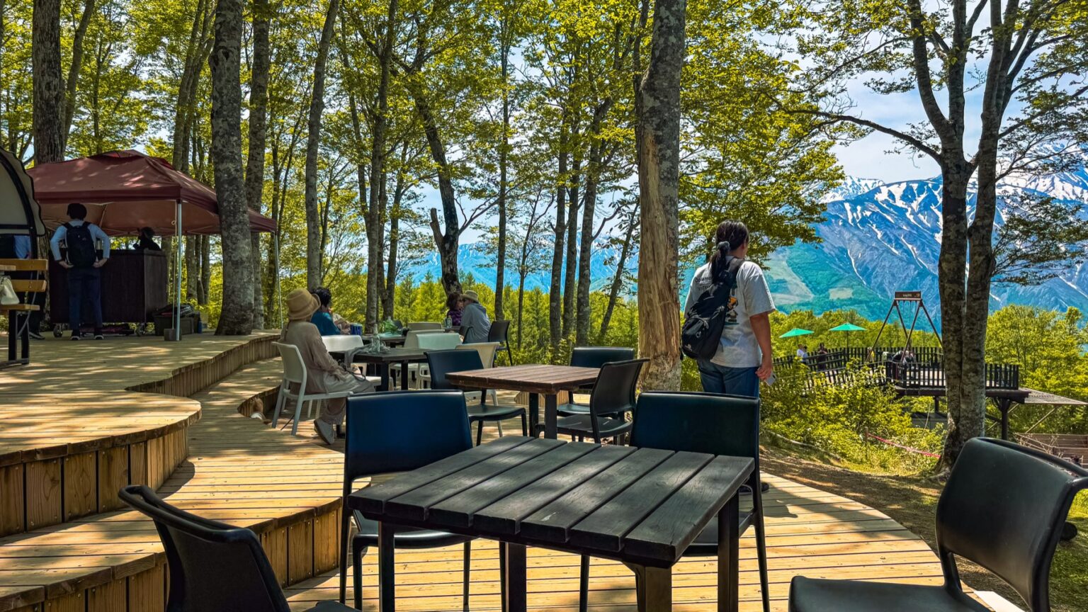 Hakuba Mountain Harbor outdoor cafe deck with wooden tables and folding chairs scattered under tall beech trees a red parasol providing shade and visitors browsing the view of the Hakuba Sanzan peaks visible through the foliage on the right
