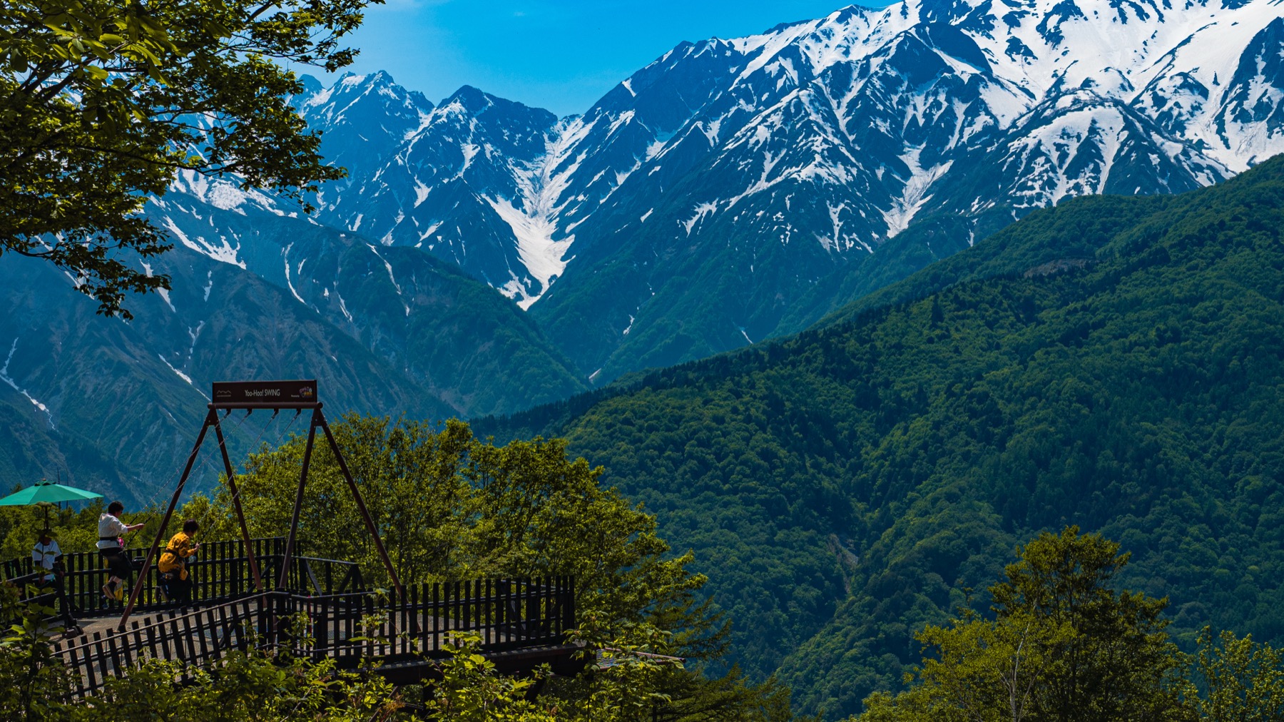 The wooden Yahho Deck observation platform at Hakuba Iwatake Mountain Resort with a small group of visitors looking out across green forest to the snow-capped Hakuba Sanzan three peaks of Shirouma Shakushi and Yari in late May