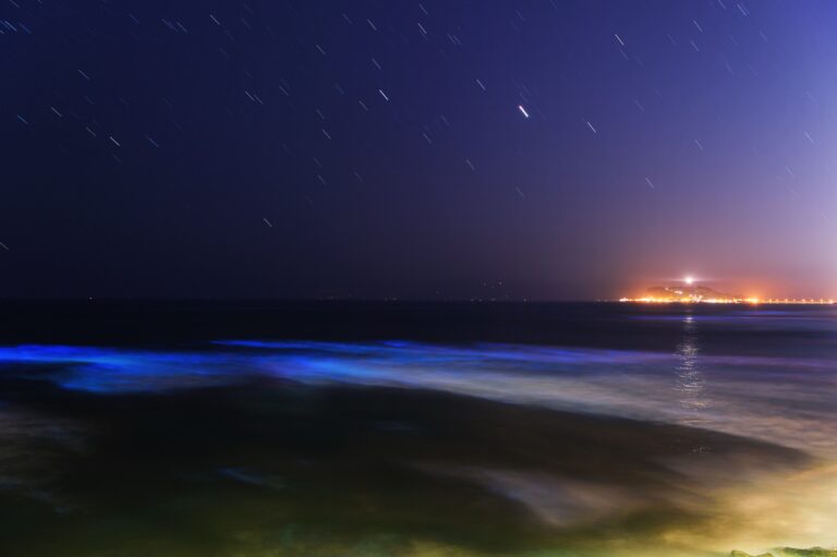 Long-exposure night photo of bioluminescent sea sparkle glowing electric blue along the breaking waves of a Japanese beach, with star trails overhead and the lights of a headland town in the distance.