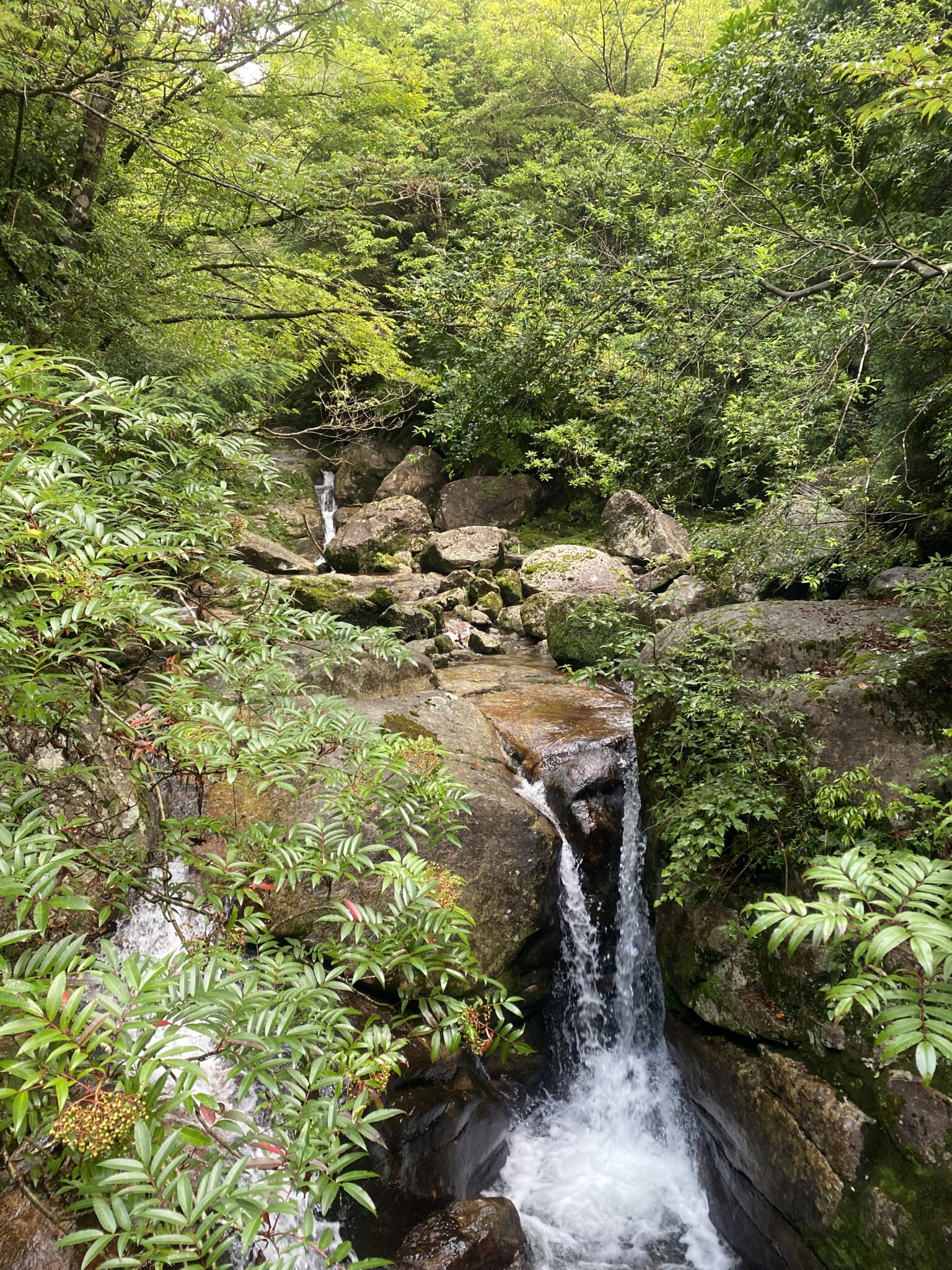 Clear mountain stream and waterfall along the Arakawa Trail