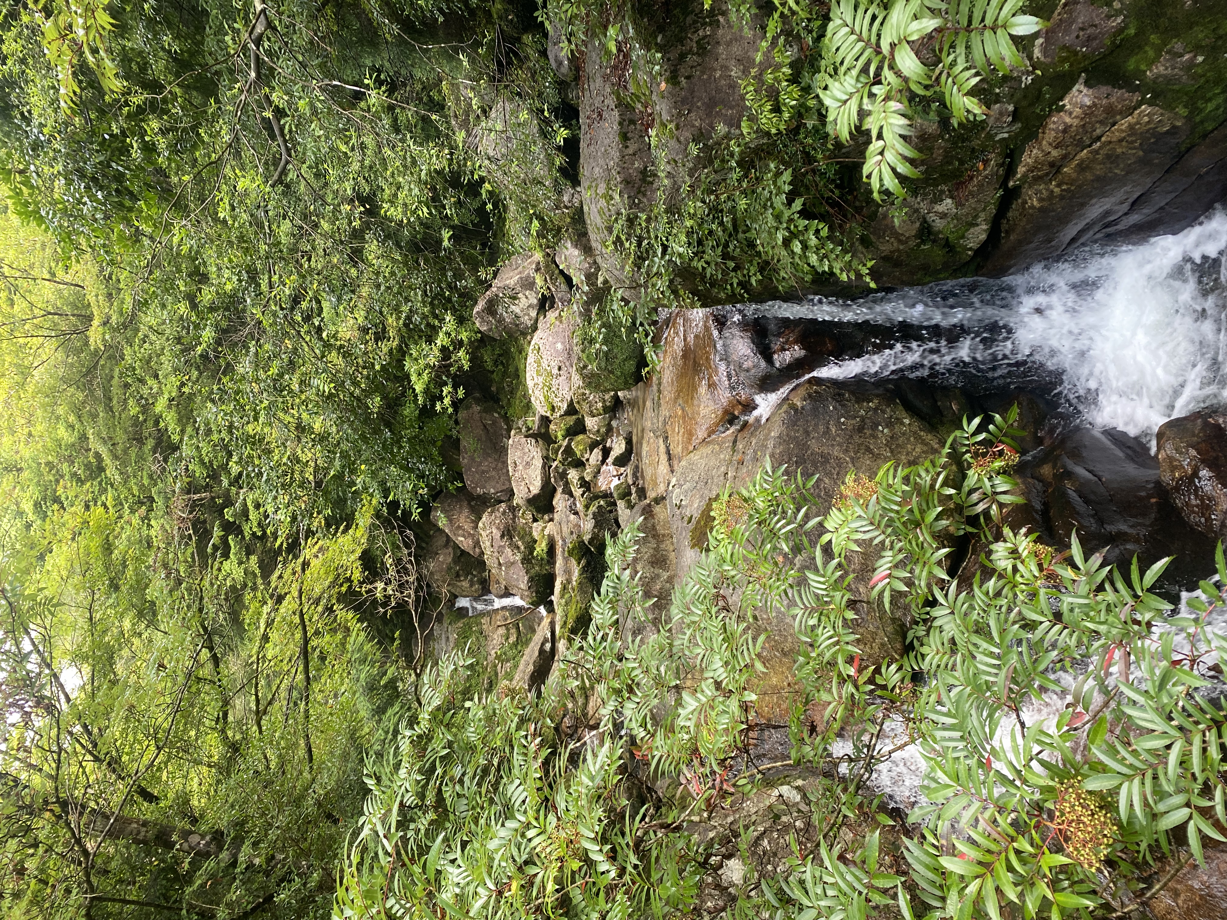 Clear mountain stream and waterfall along the Arakawa Trail