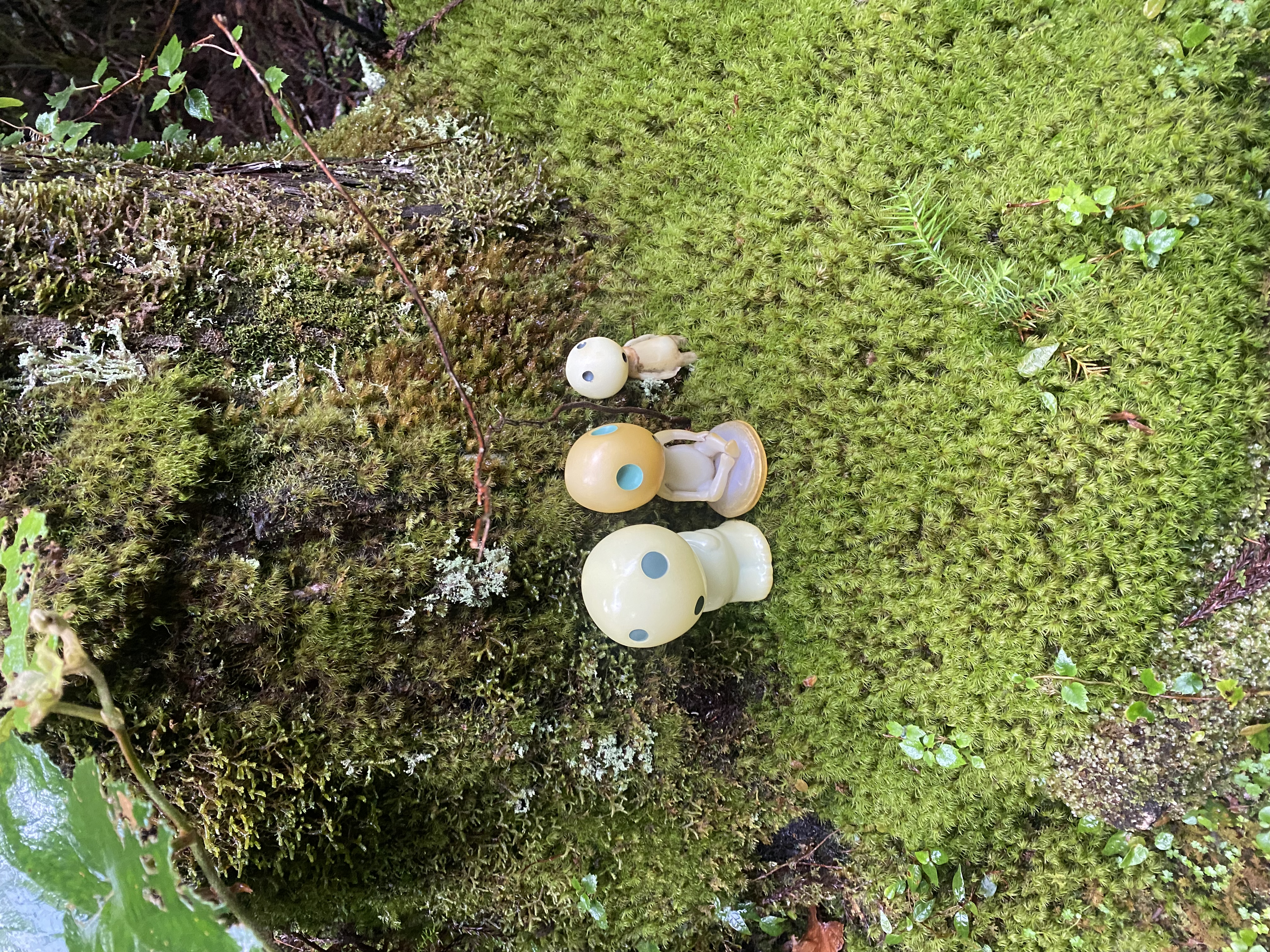 Three small Kodama spirit figurines on a mossy cedar log