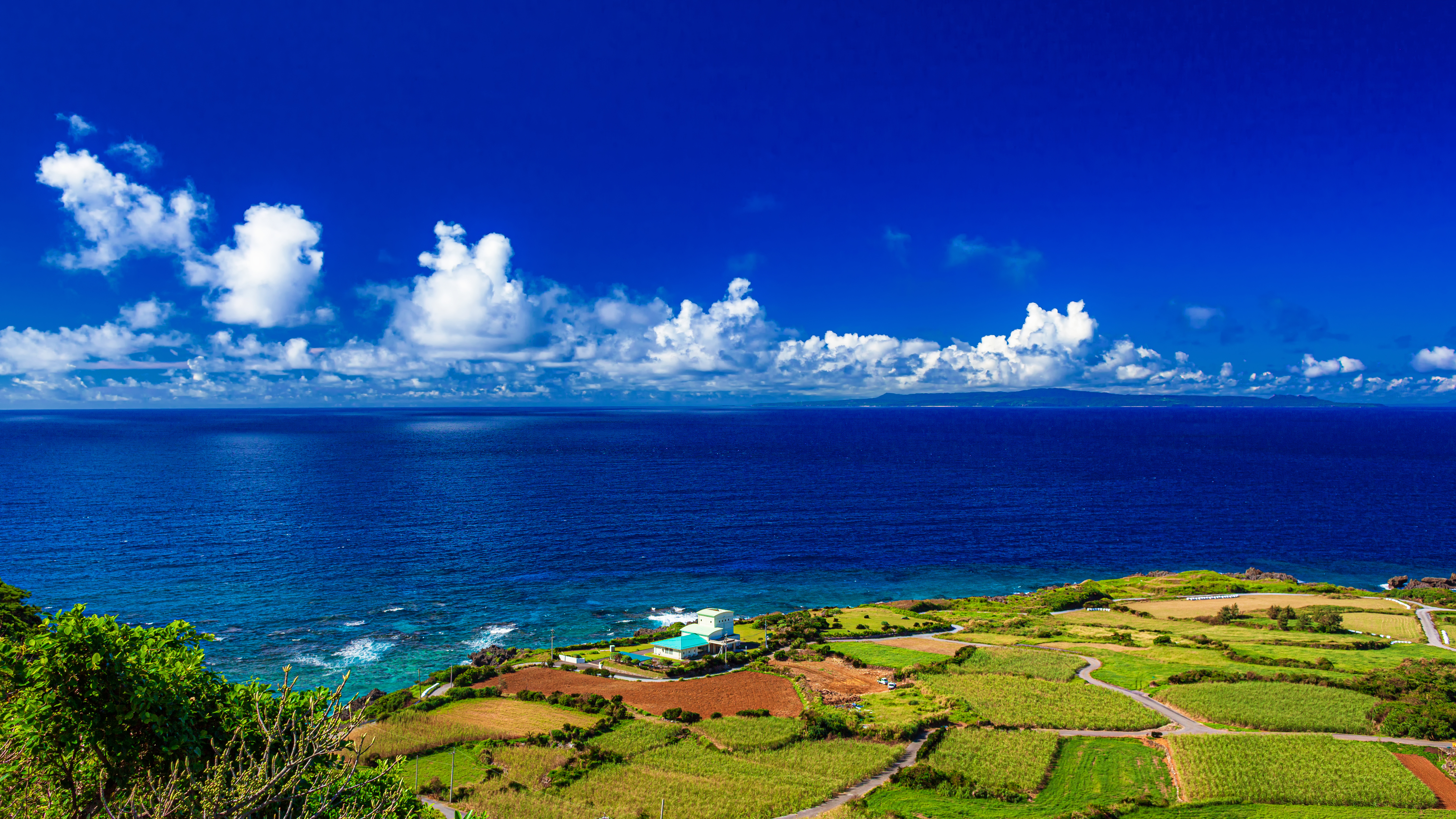 Patchwork sugarcane fields running to the sea on a Kagoshima outer island