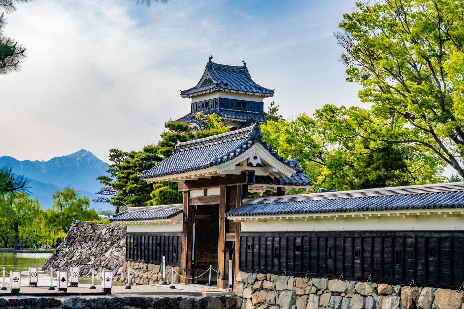 The restored black Kuromon main gate and namako-walled enclosure of Matsumoto Castle framed by fresh green maple leaves in early summer, with the keep behind the gate.