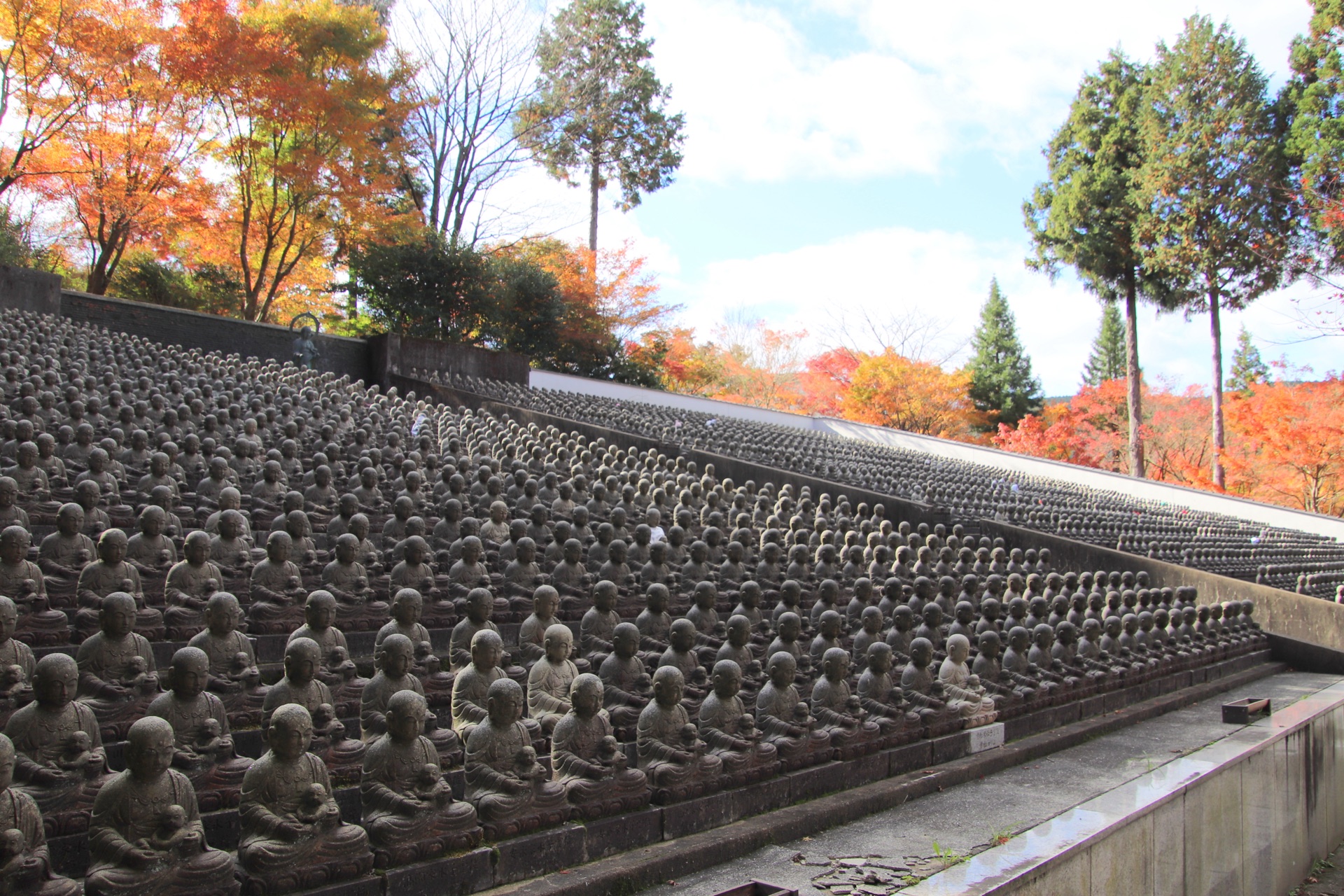 A wide view of the thousand stone jizo statues arranged in tiered rows at Nomiyama with autumn maple leaves in red and orange behind