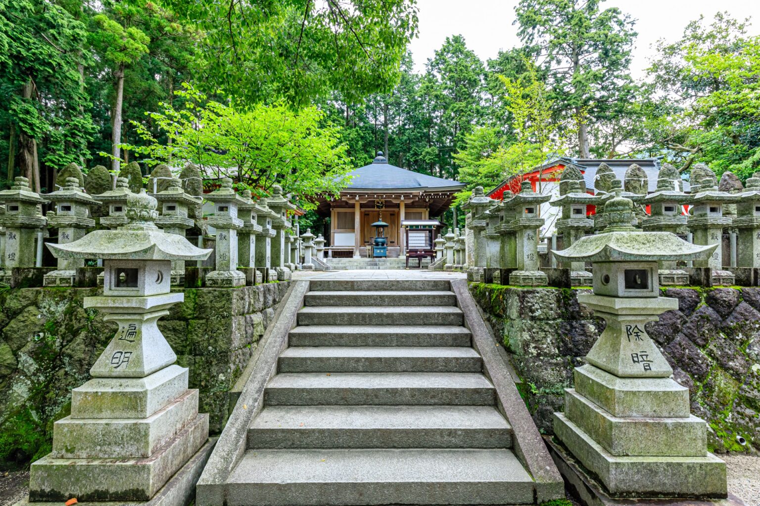 Stone lantern lined path leading up to a temple building at Nomiyama with a thousand stone lanterns visible in the green forest setting