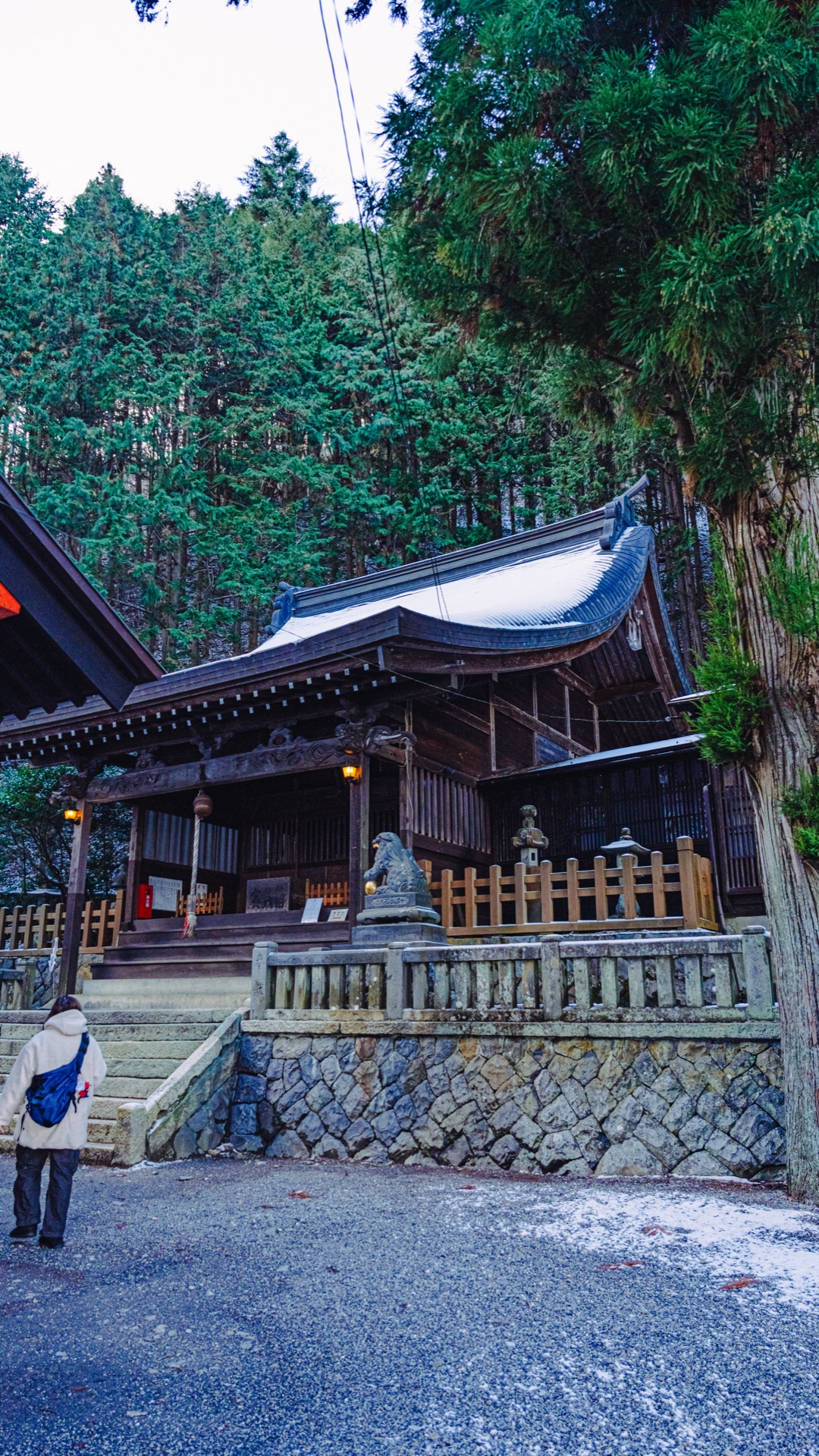 The main hall of Shizume Shrine seen from the side, set into the cedar grove with a stone retaining wall