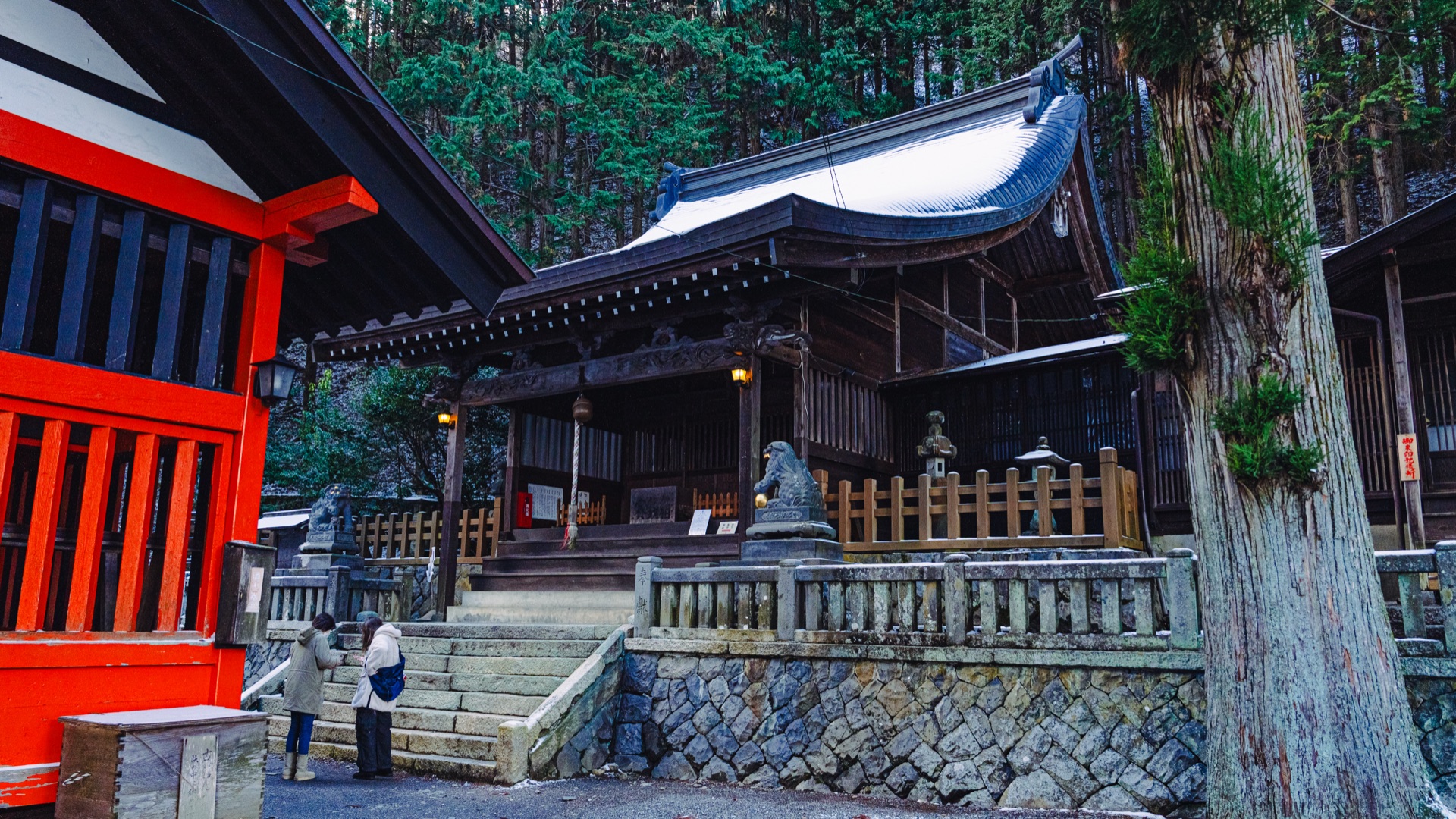 Two people standing at the entrance of Shizume Shrine main hall about to pray, winter cedar forest behind