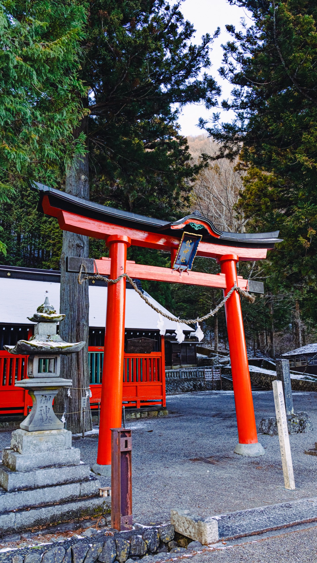 The red torii of Shizume Shrine seen from the side angle showing the cedar grove and stone lantern