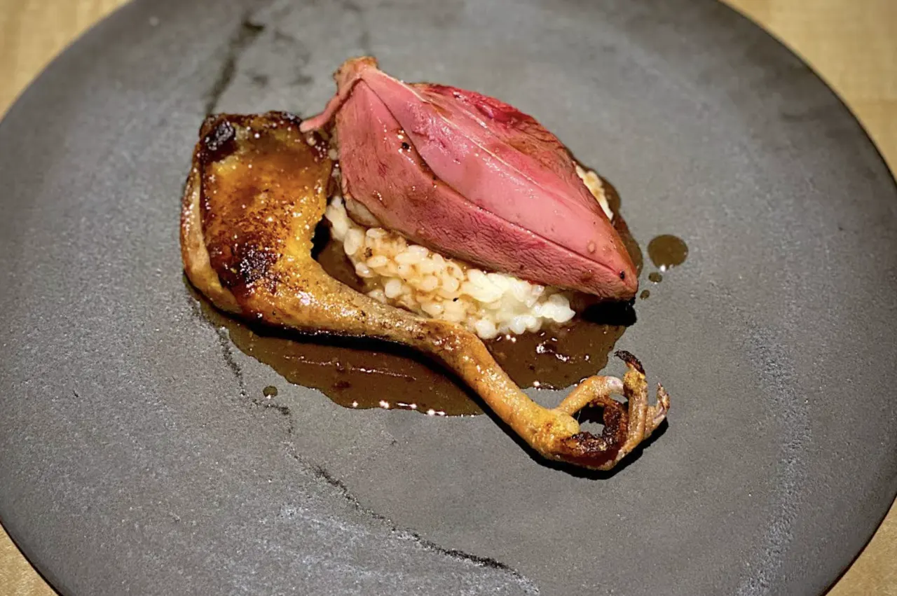 Roast pigeon at TOAHIS Fukuoka — pink-rare breast and crisped leg on a bed of textured grain risotto, dark sauce pooled on a stone-coloured plate