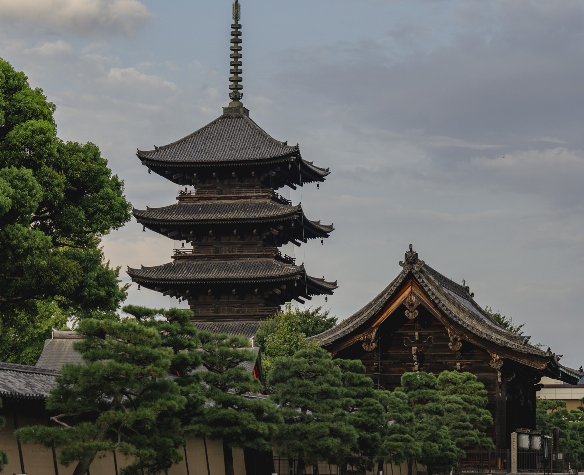 The pagoda visible behind the Kanchi-in hall and pruned pine trees in the temple grounds