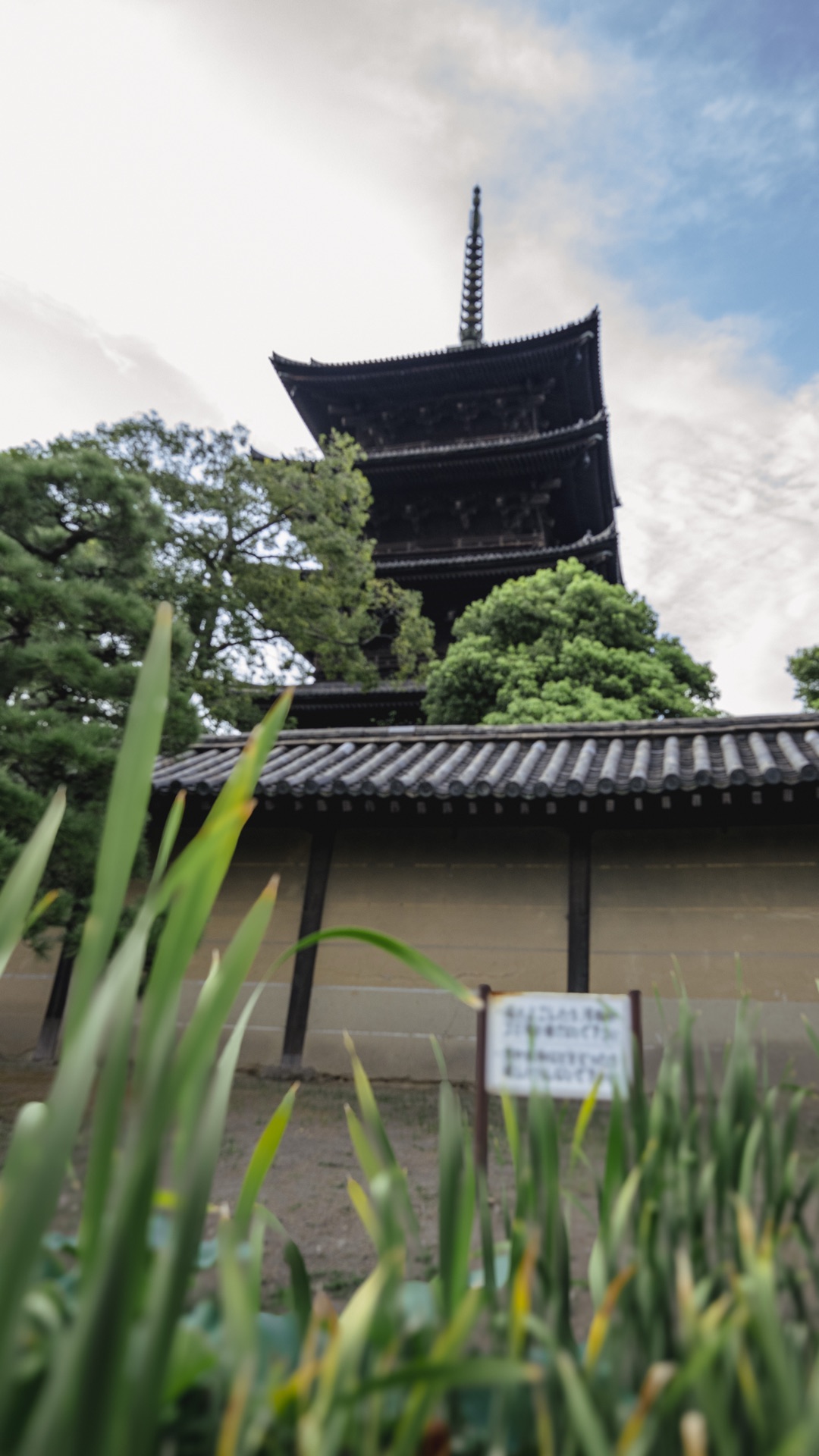 The wider precinct grounds of Toji with the side halls and clouds overhead