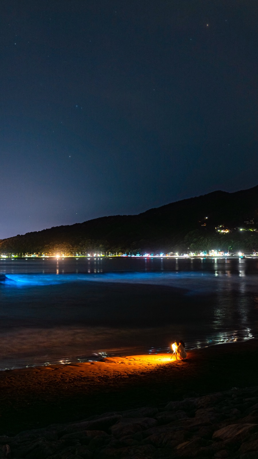 Vertical photo of a thick band of blue bioluminescent water curling onto Usami Beach as a figure holds a lantern on the wet sand