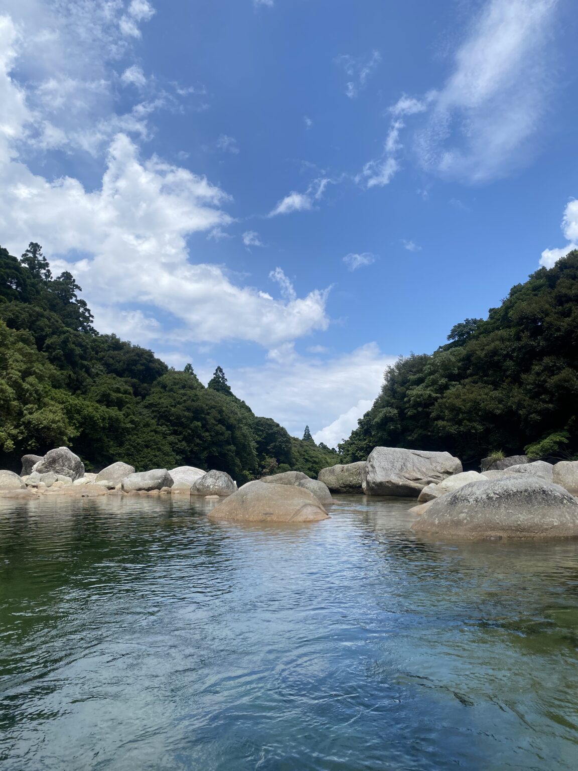 Large boulders in the Yokogawa river surrounded by Yakushima forest