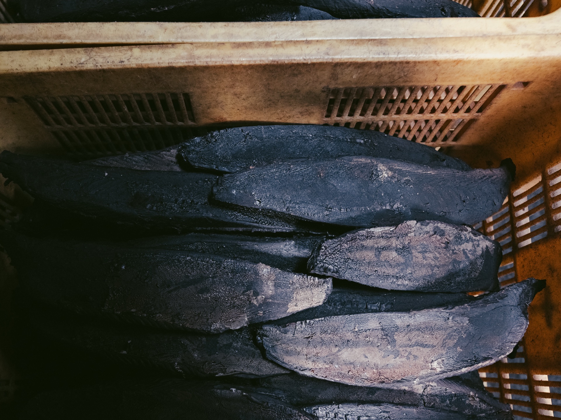 A close view of finished blackened arabushi katsuobushi loins in a plastic crate at Yamaju