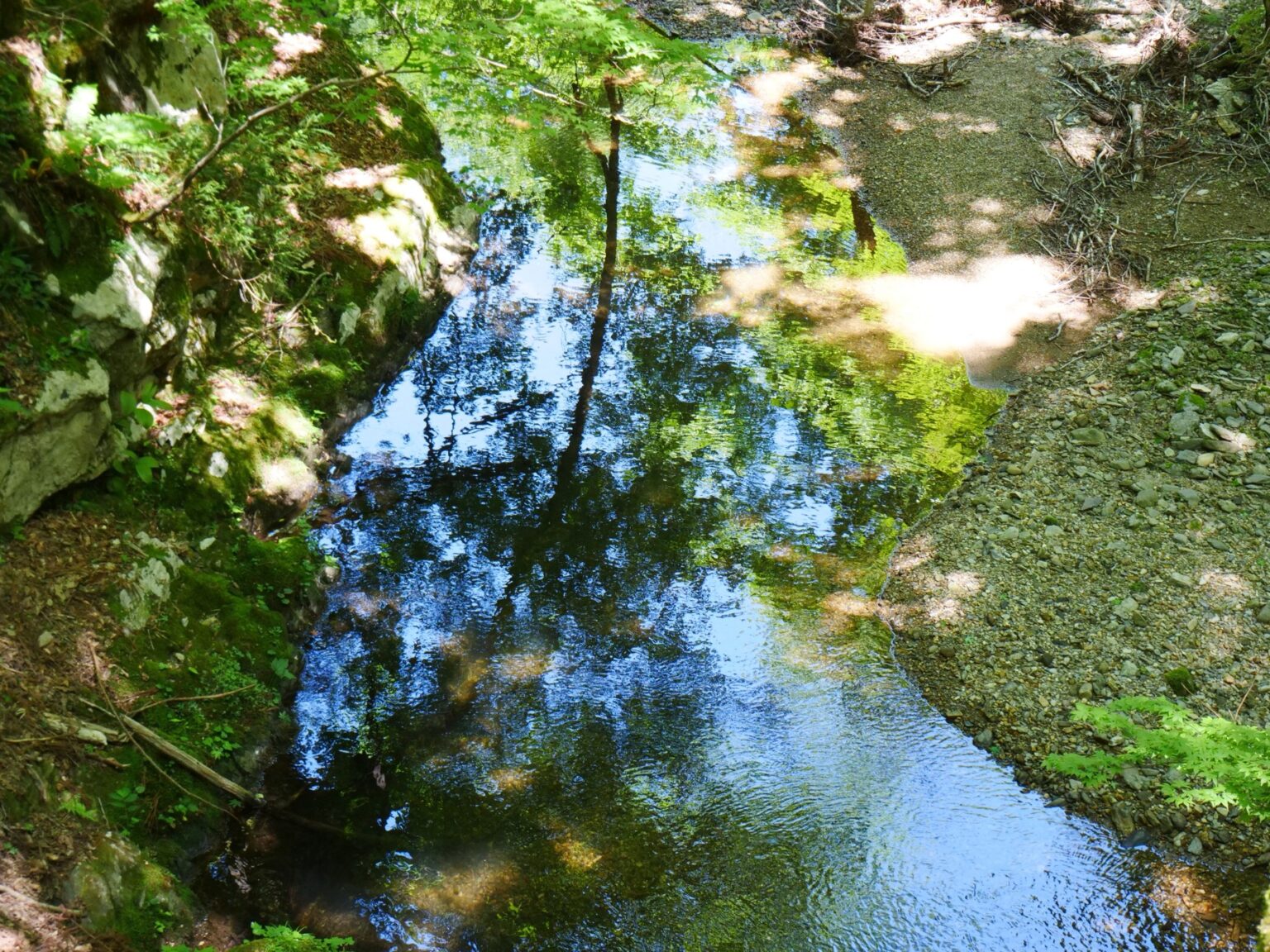 A clear, still stream in the Ashiu forest reflecting the blue sky and green trees, with mossy rocks and a gravel bank in summer light