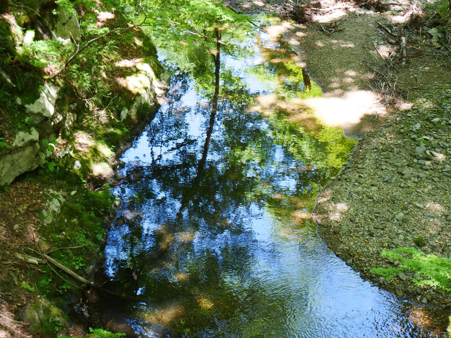 A clear, still stream in the Ashiu forest reflecting the blue sky and green trees, with mossy rocks and a gravel bank in summer light
